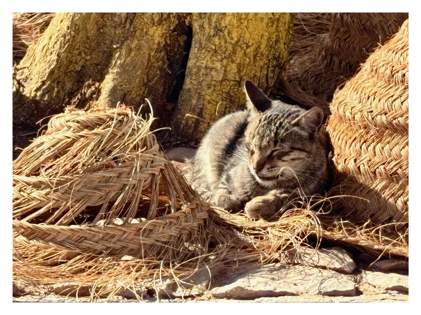 Happy New Year from Southern Morocco!