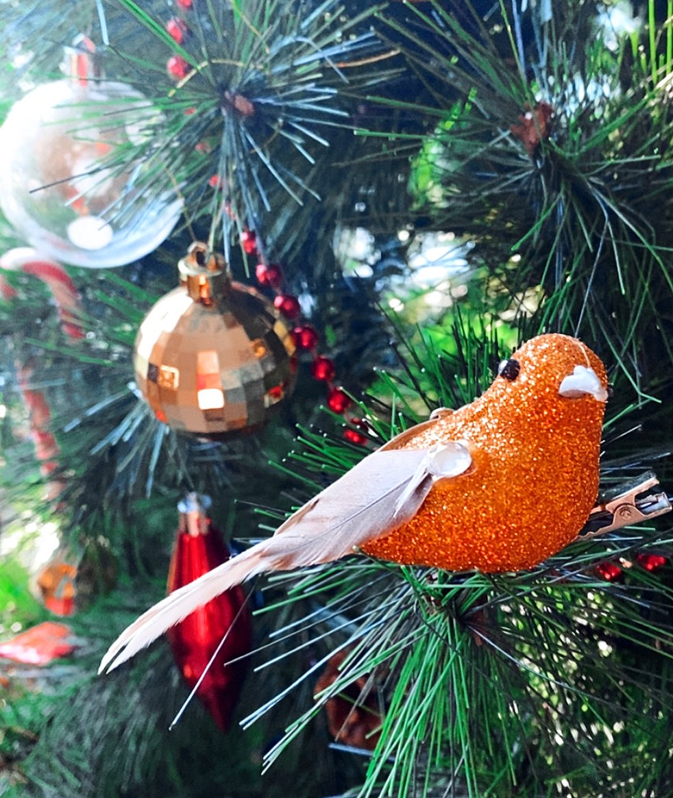 • JE RANGE LES PAILLETTES •
Je range les paillettes, les étoiles, les sucres d’orge et les grelots avec ce sapin, témoin de mon cheminement depuis plus de 10 ans.
Je suis curieuse de savoir dans quel contexte je l’installerai au printemps prochain.
Est-ce-que j’aurai redonné vie à ma boutique de créations ?
Aurai-je déménagé ?
Aurai-je donné vie aux 4 retraites des 4 saisons qui sont si chères à mon coeur ?
Est-ce-que je chanterai davantage ?
Quels seront les nouveaux mots de vocabulaire de mon fils ?
Quelle direction aura pris notre aventure lactée ?
Comment sera mon coeur ?
Plus clair sur ses envies ?
Enfin guéri de ses blessures ?
Je n’ai pas la réponse à toutes ces questions.
Mais tout ce que je sais, c’est que je ferai de mon mieux pour m’accompagner de la plus douce des manières.
Et cela passera notamment par m’offrir un temps de reliance chaque mois.
L’année sera ainsi ponctuée de rituels en ligne pendant lesquels nous pourront nous retrouver.
Depuis le confort de nos maisons et sans que les kilomètres qui nous séparent ne soient un obstacle, nous pourrons respirer ensemble, danser, chanter, faire du yoga, écrire, se déposer.
Les pratiques seront toutes uniques, en lien avec les énergies en cours.
Les rendez-vous se feront en alternance les vendredis soirs et les dimanches matins.
Les dates de ces retrouvailles sont les suivantes :
Les vendredis de 20h30 à 22h :
30/01
27/03
22/05
31/07
25/09
20/11
Les dimanches de 10h30 à 12h :
01/03
26/04
21/06
16/08
18/10
20/12
Vous pouvez plonger dans l’aventure complète dès maintenant ou sélectionner uniquement les dates auxquelles vous souhaitez participer.
Le lien d’inscription est dans ma biographie et pour toute question, n’hésitez pas à m’écrire en message privé.
Prenez grand soin de vous.
❤️