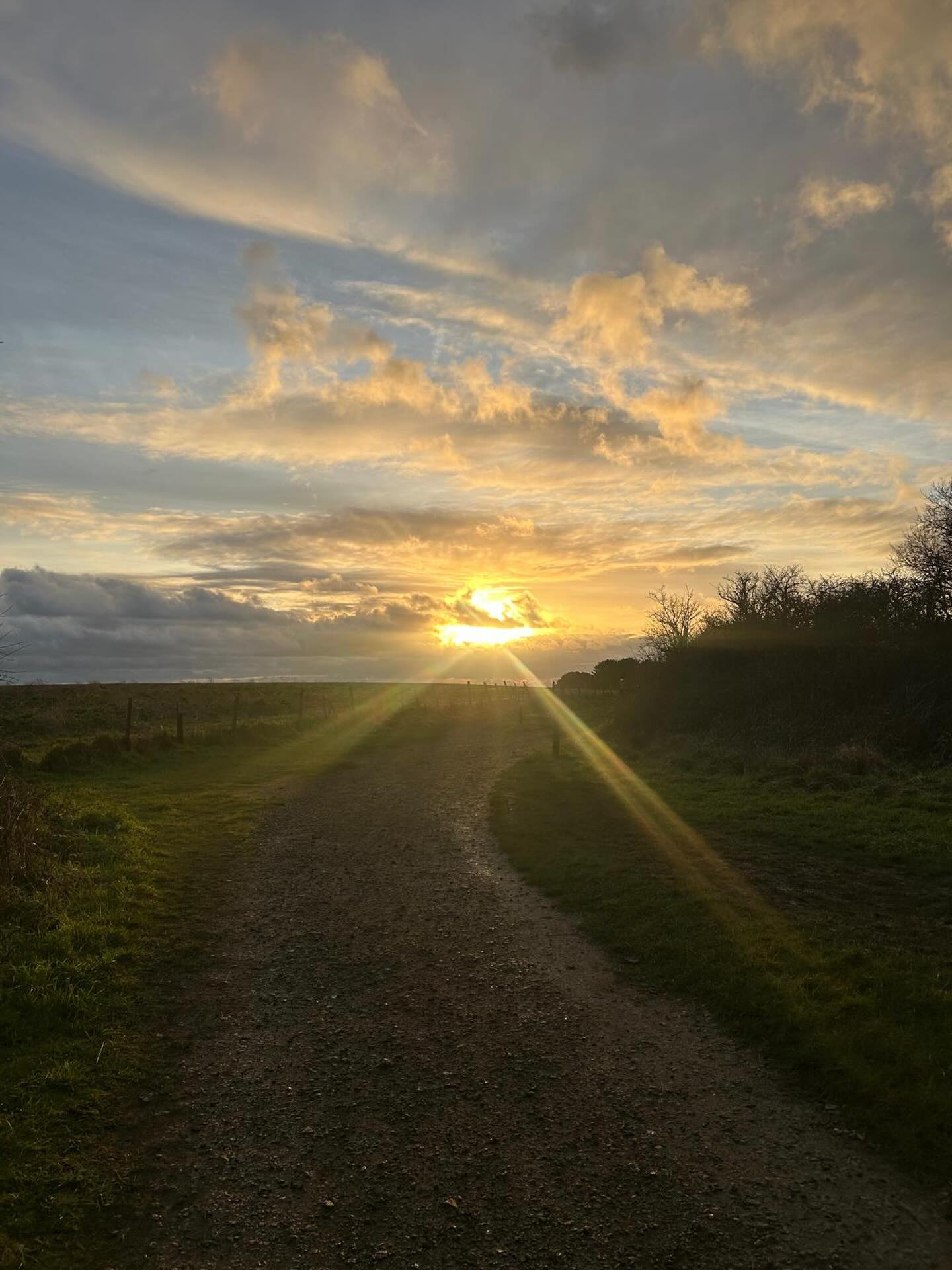 💫 2026 blessings you magical creatures 💫
may we remember more of who we truly are
and what majesty we are a part of
and may we make the space & time to do so
may 2025’s compost feed & nourish
the seeds and shoots that sprout and flourish
through this gregorian calendar year ahead
#nature #natureconnection #ecotherapy #ecopsychology #hampshire