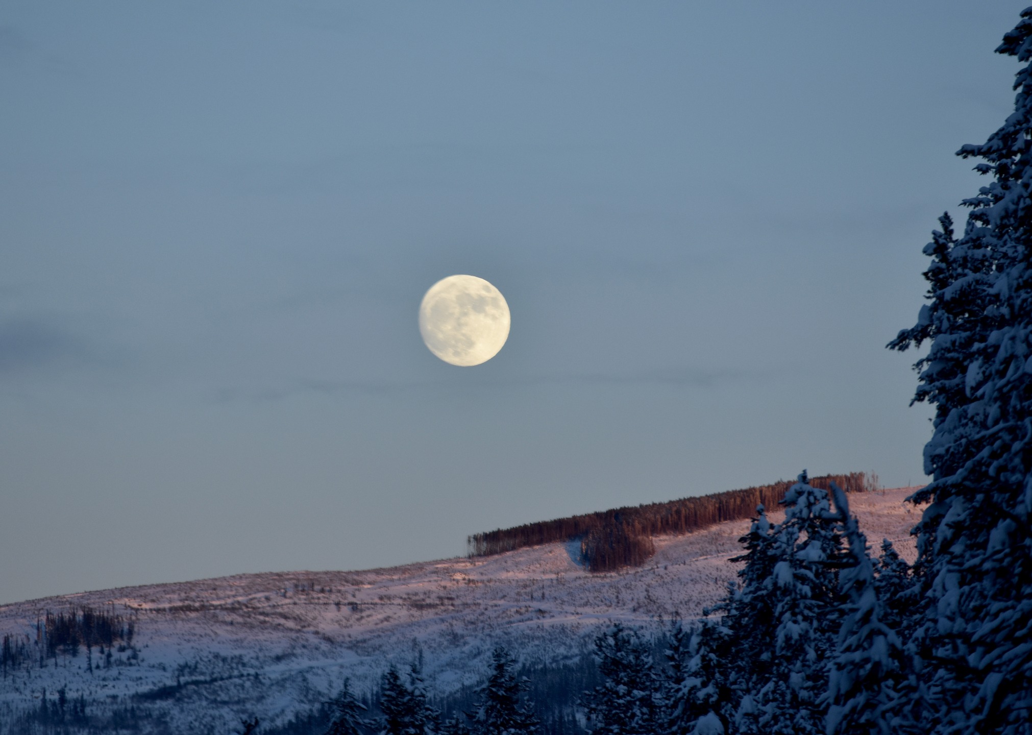 Beauty everyday - Jan 1st - I'll be posting a pic a day from my daily photo sessions over 3 years