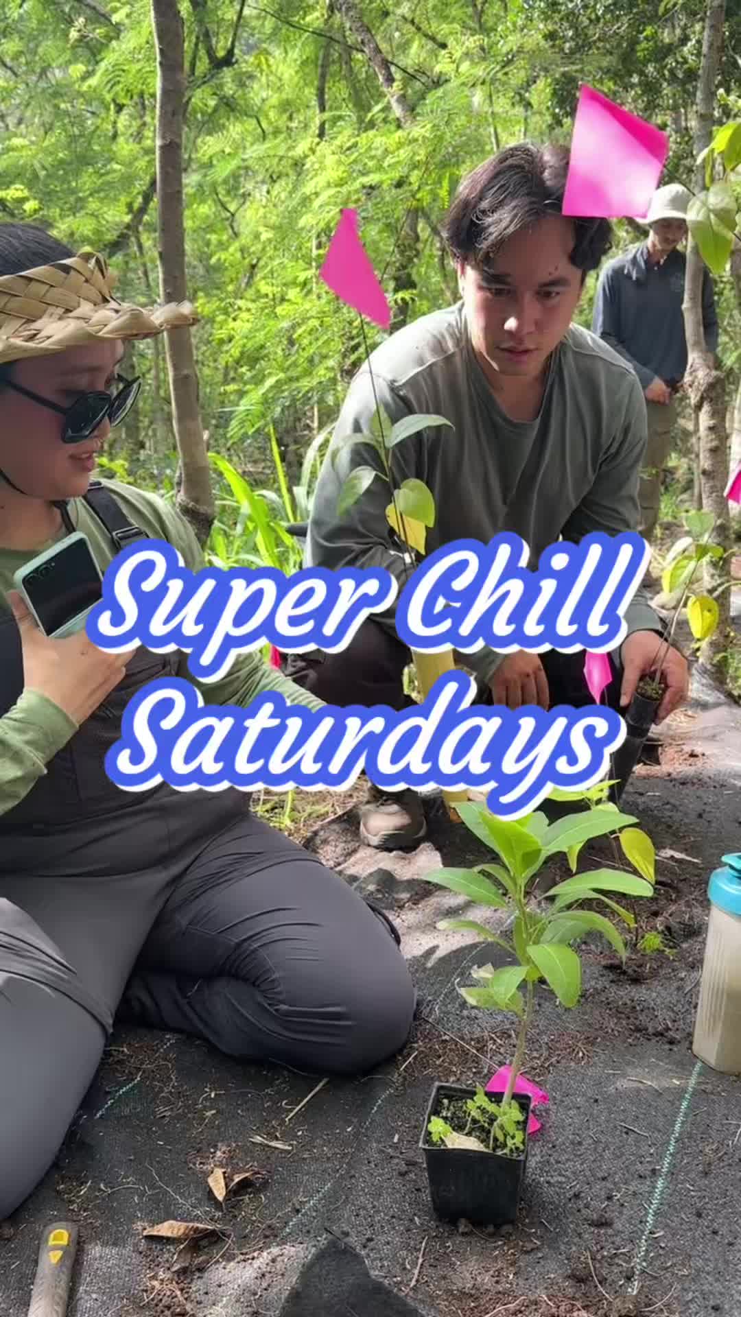 Today was a Super Chill Saturday! Mahalo nui to our volunteers for spending time with us.
We cleared two patches of guinea grass, then moved on to planting Lonomea and Kou in freshly laid-out weed mats.
Join us on second Saturdays for our SuperChill workdays!
#restoration #hawaii #forest #nativeplants #volunteer