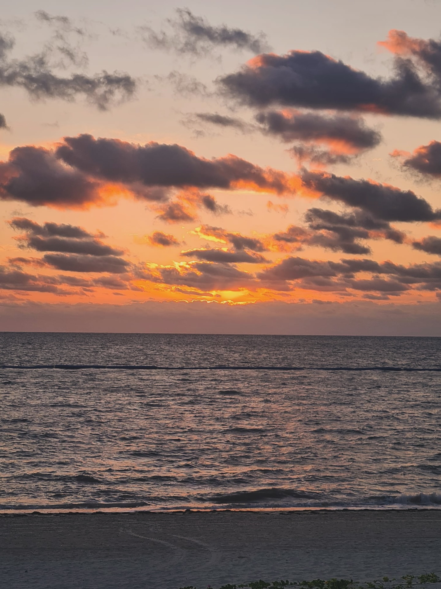 At the end of 2024, I decided that 2025 would be the year of “courage”.
I didn’t fully know what that meant at the time, but courage showed up anyway, in my work, in my relationships, in the way I learned to let go of what no longer fit.
In 2025, I…
📘 launched new design offerings on my website
🏡 bought my dream first home
🎤 attended my first online event as a speaker
🧠 chose my wellbeing over “pushing through”
🌼 trusted myself to make hard decisions
❤️🩹 started counselling
💍 got engaged (!!)
As I look ahead, my word for 2026 is “growth” 🌱
Not growth for growth’s sake, but growth rooted in intention, care, and sustainability.
For White Stone Pages, that means:
✨ clearer and flexible services
✨ more thoughtful design journeys
✨ prioritising creativity over busyness
✨ space to experiment and evolve
✨ showing up in ways that feel sustainable and values-led
I’ve shared the full reflection on the blog (link in bio 🔗).
I’d love to know… what’s your word for the year ahead? ✨
🌅📸: A holiday snap of the sunrise in Cancun, where I was lucky to have done a lot of my end of year reflections
#2026 #WordOfTheYear #2025Reflections #annualreflection #Growth #selfdevelopmentjourney #selfdevelopment #newyearsresolutions #newyearmanifesto