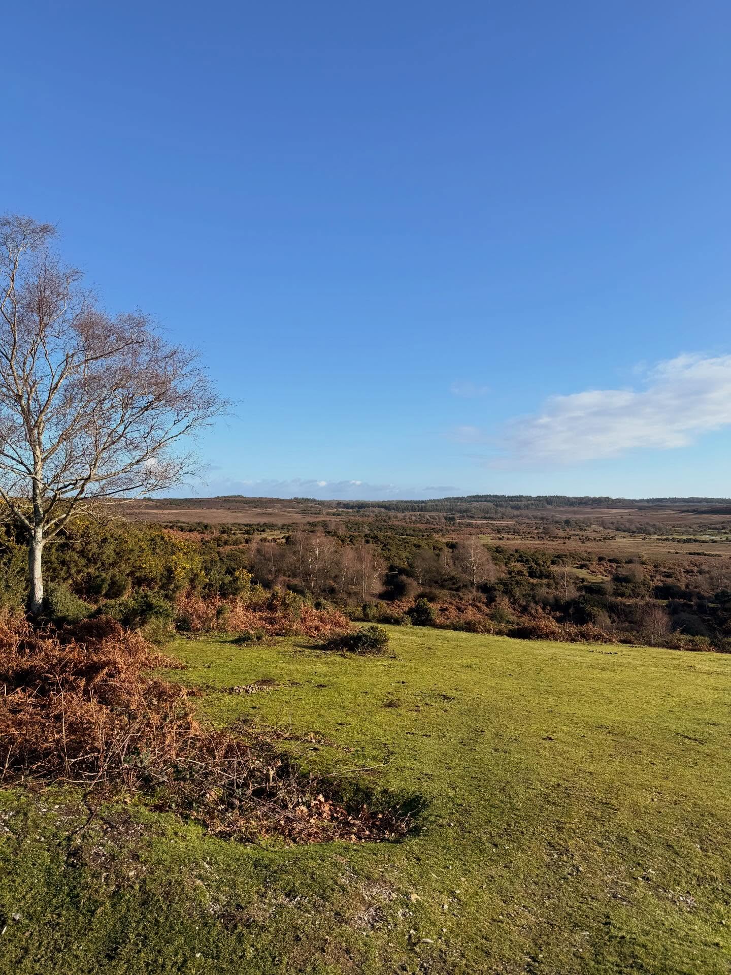 Happy New Year from Abbotswell - just a few mins walk from our comfortable stable conversion.