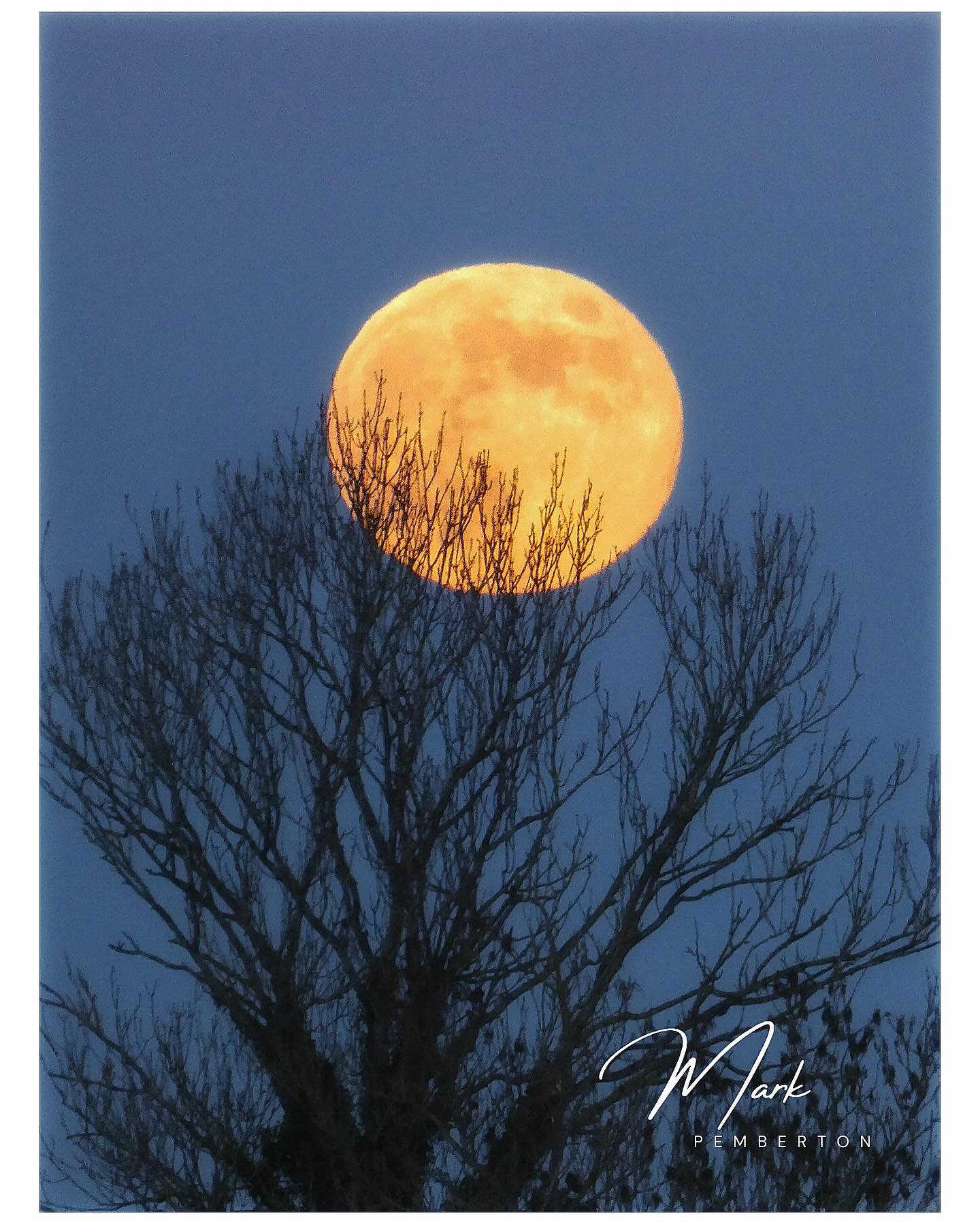 Caught a glimpse of the Wolf Moon rising above Warwickshire #wolfmoon #chestertonwindmill #bbc_midlands #moonrise