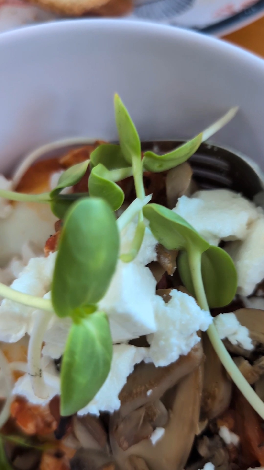 When fresh produce is hard to find (and expensive), you grow it. 🥬
Fresh greens are a luxury in remote islands and long sails. Between the seasonality, the limited supply, and the high prices, we had to find a way to stay self-sufficient.
Finding the right kit allowed us to grow our own with almost zero work. High nutrition, only 2.5 cups of water, and fresh greens on the boat for every single meal.
I am all for simplicity and this was a huge value for effort win.
If you're all for simplicity as well, check out @ZestiGreens .
(This is not a promotion, just a product I love).
What made your life easy?
.
#followthe5un #lifebydesign #boatlife #microgreens #sailingnutrition #simplicity #bahamas #offgridliving #worldschooling #selfsufficiency #zestigreens
TikTok #boatlife #microgreens #lifehacks #sailing #offgrid #healthyeating #simplicity #bahamas