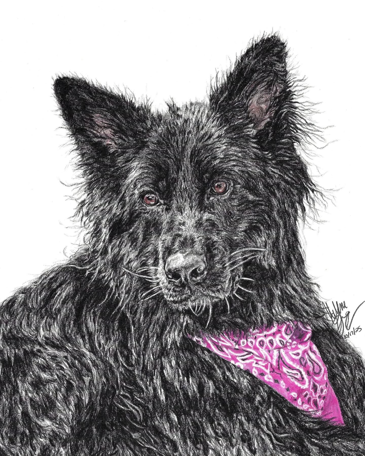 With the holidays over, I can share the drawings I was commissioned to create, each were given as gifts!
#artist #drawings #petportraits