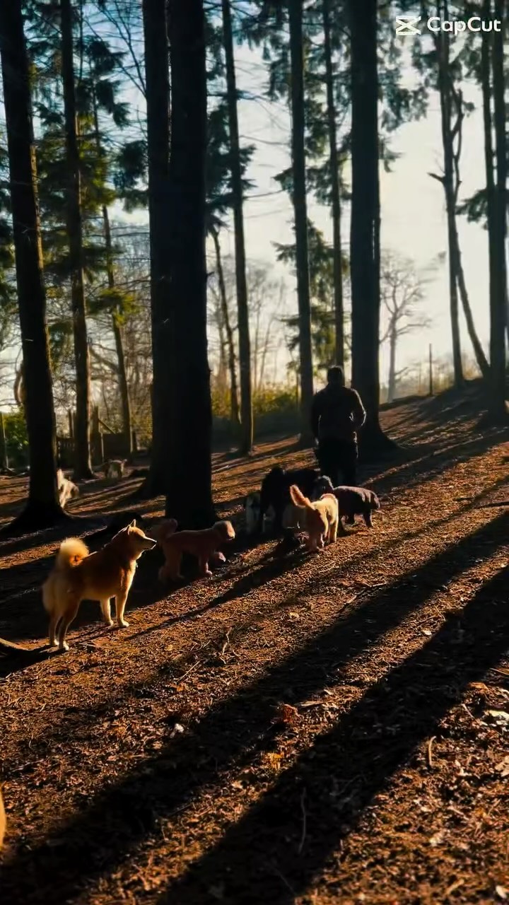 Wishing everyone a happy new year! As we say goodbye to 2025, we’re so grateful for every pup, every pet parent, and all the happy moments we shared this year. Thanks for trusting us with your dogs! We can’t wait to make more memories together in 2026! ✨🐶🤎