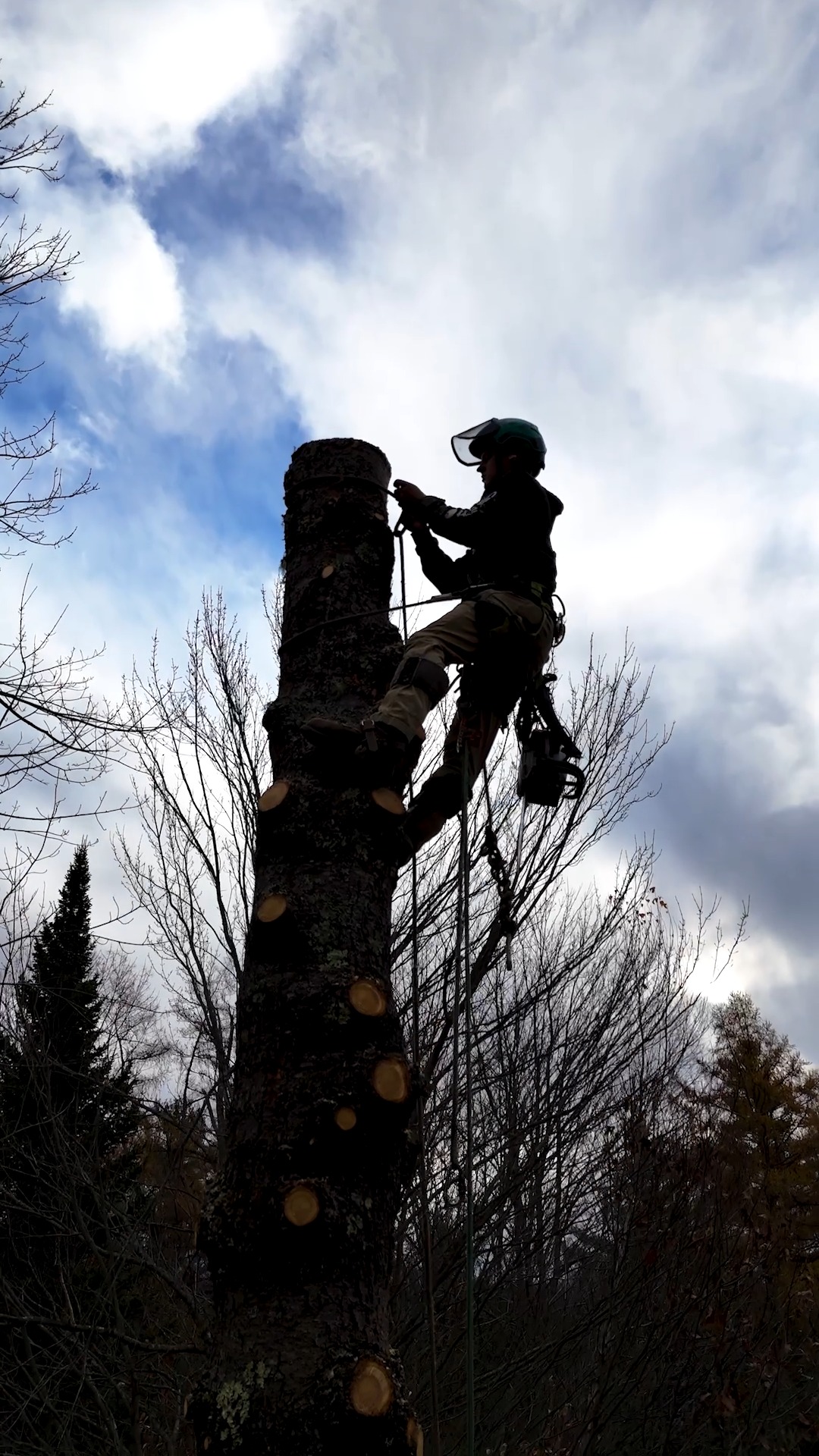 It's been a great year. See you in 2026.
.
.
.
.
#belangertreecare #arborist #arboristsofinstagram #skowhegan #skowheganmaine #forestry #chainsaws #centralmaine #mainebusiness #treecare #treecarebusiness #treeclimbers #logging