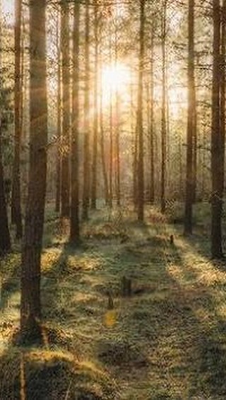 That’s a lot of feelings ✨