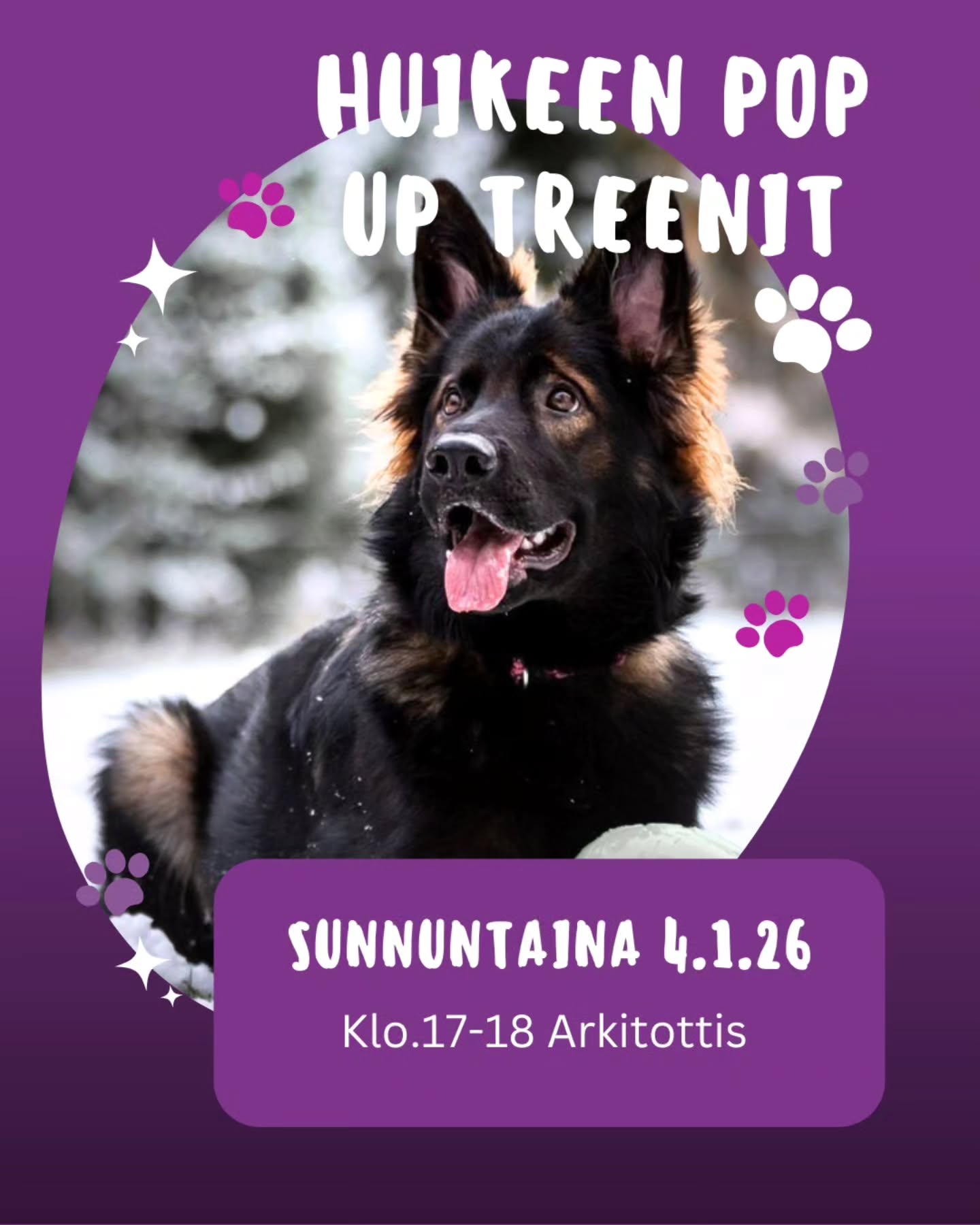 💜 HuiKeen POP UP-treenit 💜
Irtotreenejä tarjolla! Nämä treenit on sinulle, joka et voi sitoutua pidempiin kursseihin tai haluat tulla tutustumaan halliin, meihin tai eri lajeihin 😍 Treenit HuiKeen hallilla osoitteessa Telkkistentie 6, 70460 Kuopio.
🟣 Treeneissä pääset harjoittelemaan erilaisia tehtäviä treenin aiheen mukaisesti. Nämä treenit sopii kaikille koirakoille niin arjenaktivointiin kuin harrastuskoirien häiriö/lajiharjoitteluna riippuen ryhmästä. Treenit sopii kaiken ikäisille ja rotuisille koirille aloittelijoista kokeneempiin, jos treenin perässä ei ole erikseen muuta mainittu! Meillä kaikki harjoitukset tehdään sekä muokataan osallistuvien koirakoiden tason ja tavoitteiden mukaan.
🟣 Treeneissä koirat treenaa yhtäaikaa ja tarvittaessa sekä kerran aiheen mukaan voidaan hallia/tilaa rajata. Nämä treenit toimivat siis myös hyvänä häiriöharjoitteluna. Huolehdithan kuitenkin, että koiran rokotukset tulee olla voimassa.
✨️ TAMMIKUUN TREENIT ✨️
SUNNUNTAINA 4.1.2026
💜 klo.17-18 - Arkitottis
▫️ Yhteistyö ja kontaktin vahvistaminen häiriössä sekä kiihdyttävissä tilanteissa. Tilaa rajataan tarvittaessa
⭐️ Paikkoja eri tunneille
⭐️ Myydään irtokertoina 25€/kerta
⭐️ Pieni ryhmäkoko takaa jokaiselle reilusti henkilökohtaista ohjausta!
Ilmoittautumaan pääset suoraan ajanvarausjärjestelmämme Slotin kautta. Alla on linkki sekä kotisivujemme kautta pääset Slottiin.
🟣 ILMOITTAUDU MUKAAN
https://slotti.fi/booking/tottisstudiohuikeeoy/#/
www.tottisstudiohuikee.fi
Tervetuloa mukaan! ❤️✨️