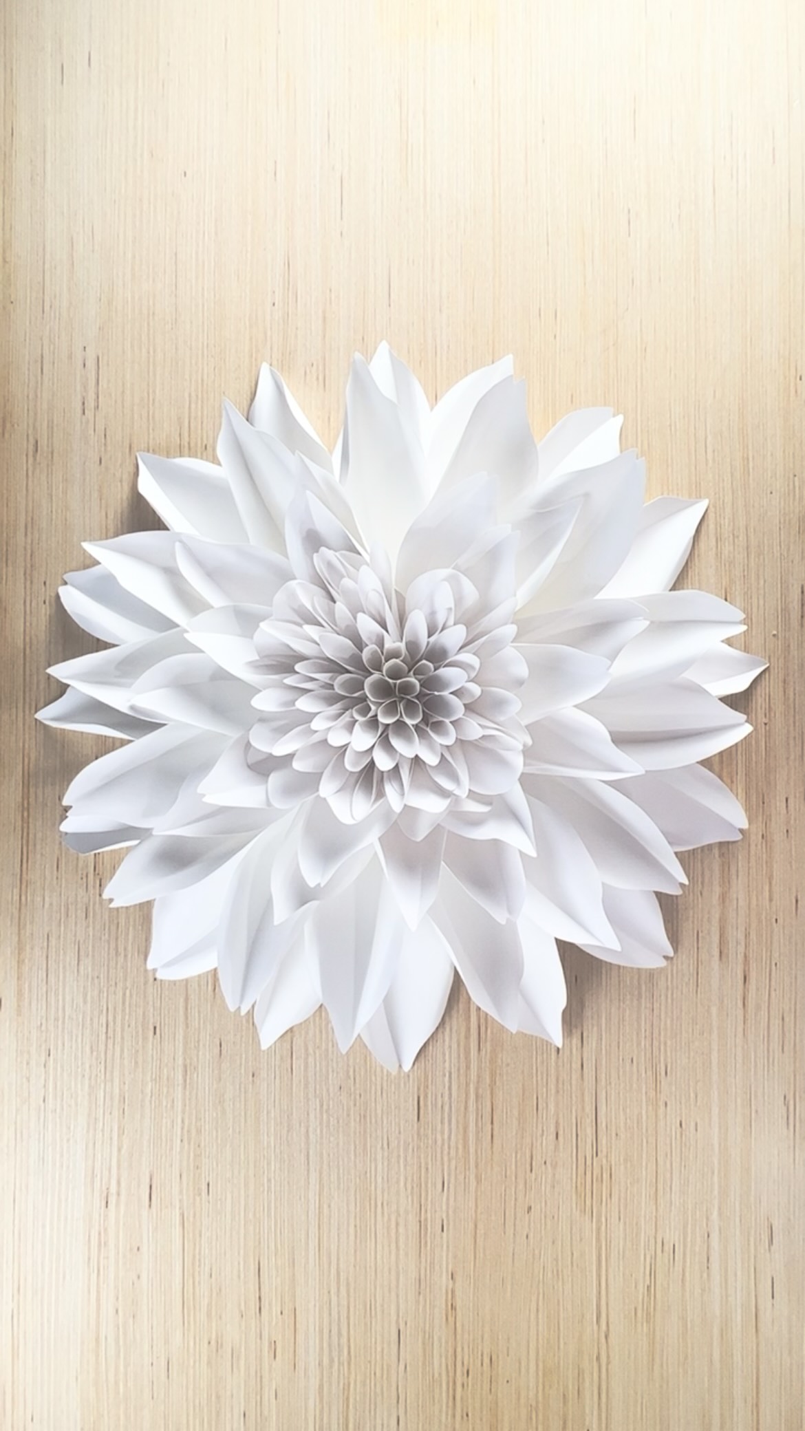 Honoring @pantone’s color of the year this first day of 2026 🤍
Template available in our shop (Click the link our bio) or comment AU LAIT and we’ll message the link directly to your inbox 📥
#giantflowers #paperflowers #largepaperflowers