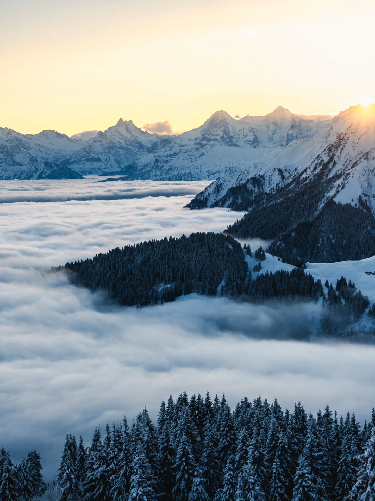 The first sunrays above the sea of fog.