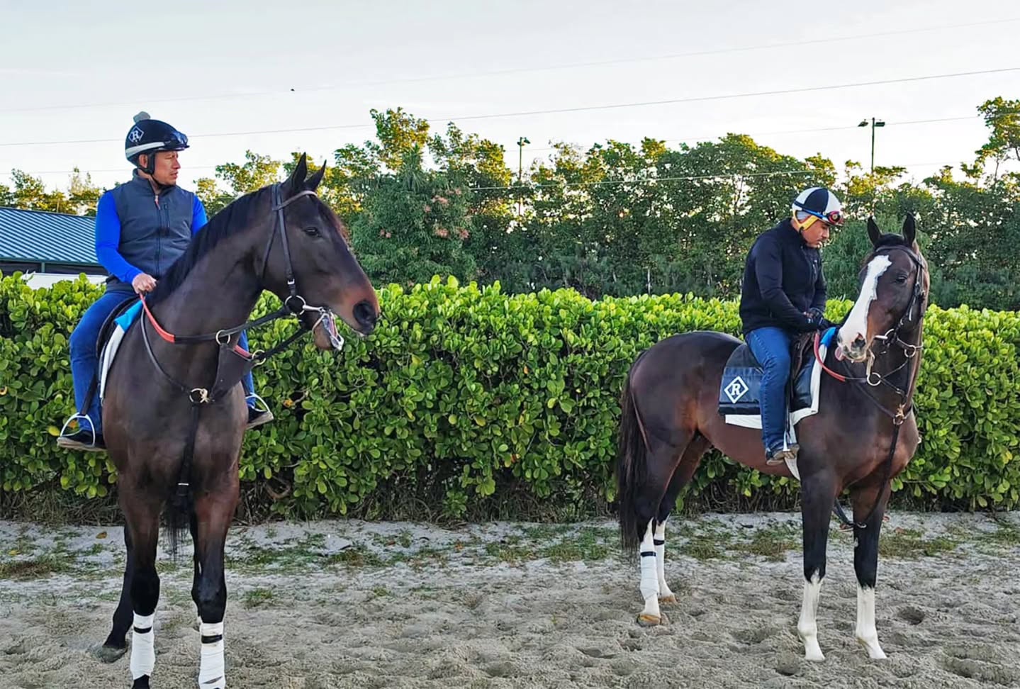 Greetings from our team in FLA ๐ด!
Thanks Bob Aaron for the photos!