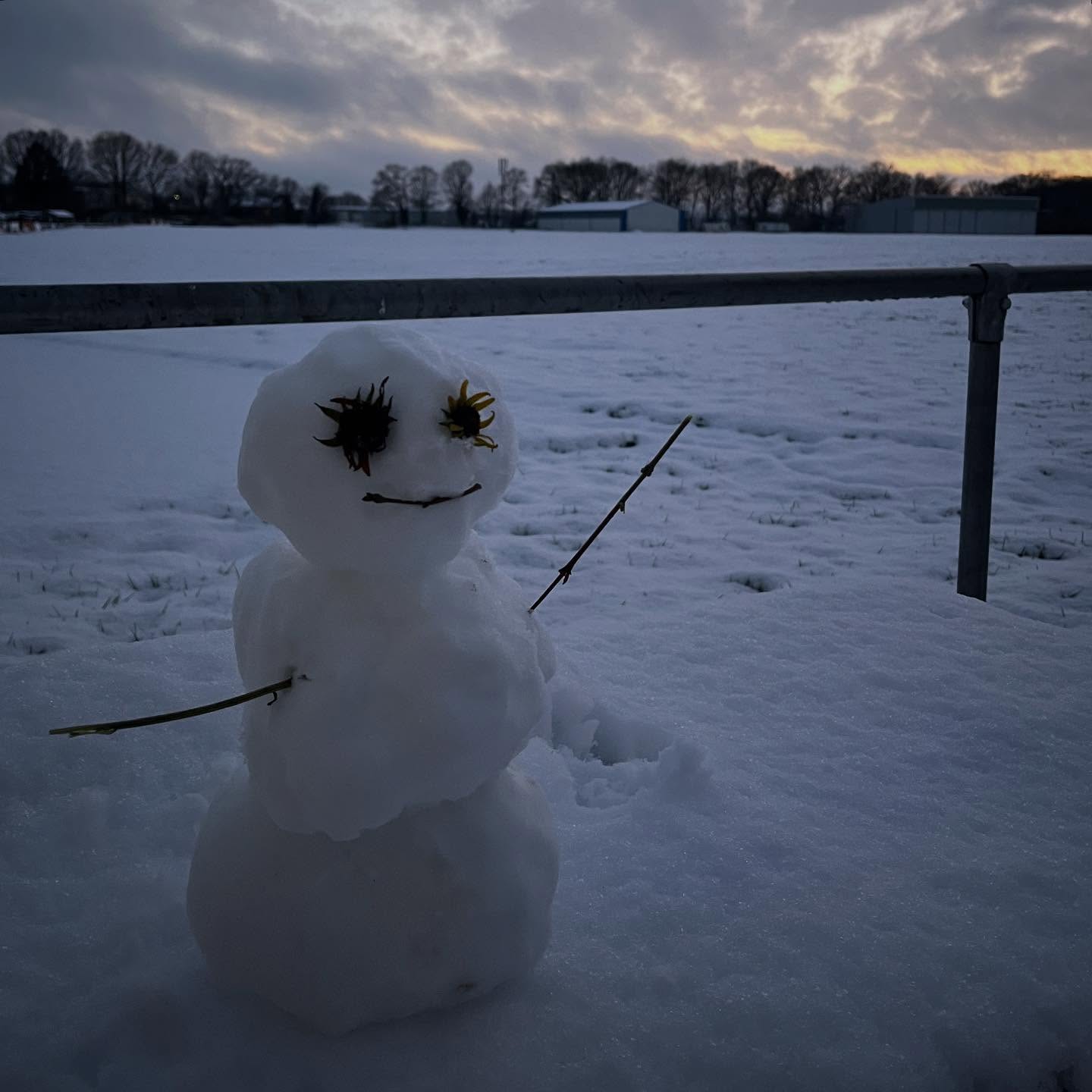 So verschneit ist unser Flugplatz hier am Niederrhein nicht oft!
#goch #niederrhein #schnee #allesistweiß #edlg #flugplatz #winterwonderland☃️ #schneemann #winterwetter #asperden