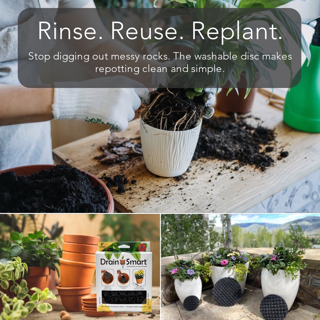 Better Drainage, Happier Plants!
Get 10% OFF Drain Smart discs on Amazon for a limited time.
Give your potted plants the care they deserve with Drain Smart discs — designed to improve drainage, protect roots, and keep plants thriving.
• Perfect for indoor & outdoor pots
• Reusable season after season
• Easy, mess-free alternative to rocks or bark
And now’s the perfect time to try them!
Healthy plants start from the bottom up.
Plant smarter with Drain Smart! Go to drainsmartusa.com
#DrainSmart #PlantSmarter #HealthyRoots #PottedPlants #PlantCare #AmazonDeals
