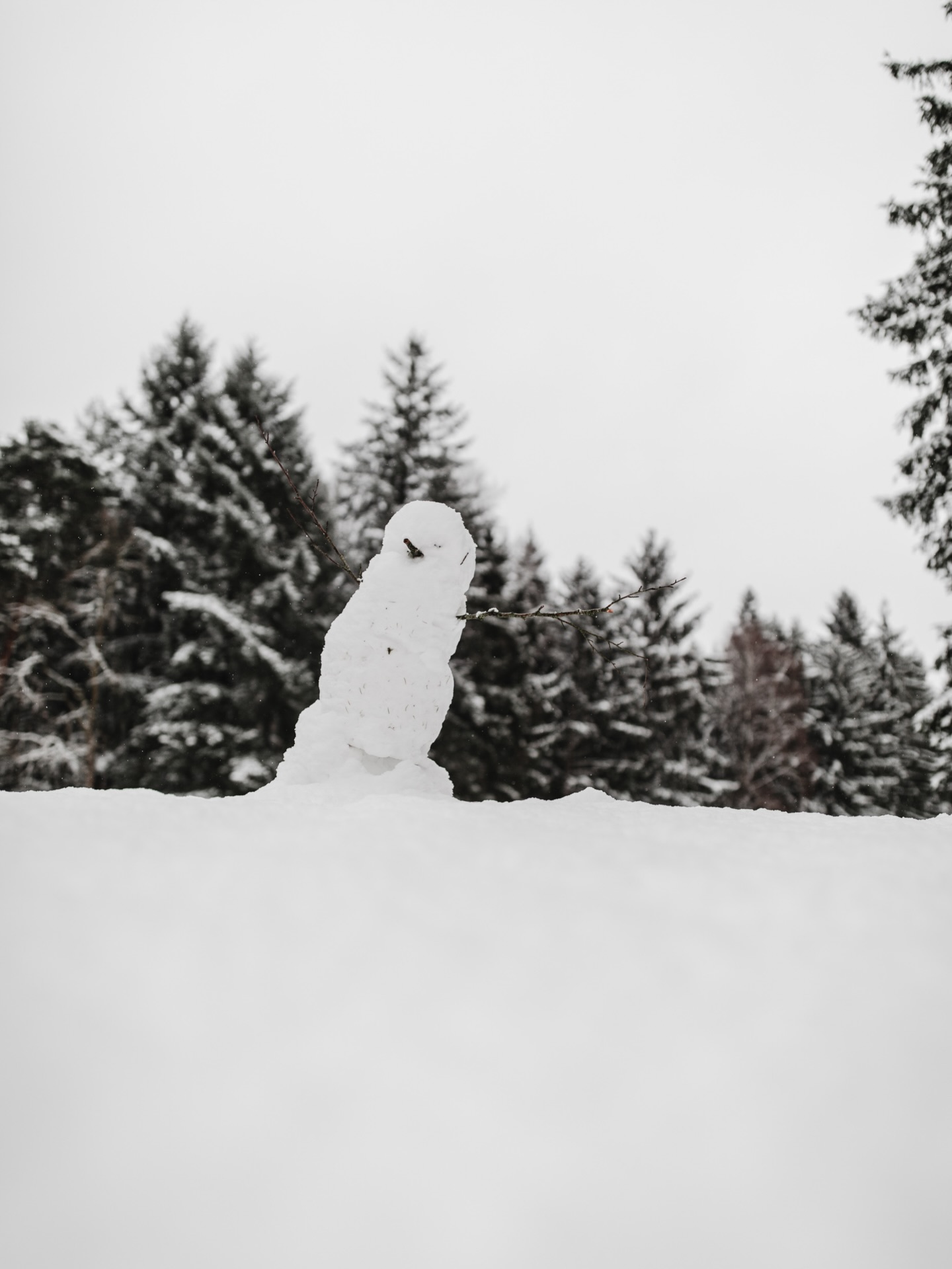 Winterwonderland #golf #golfstargram #golfplatz