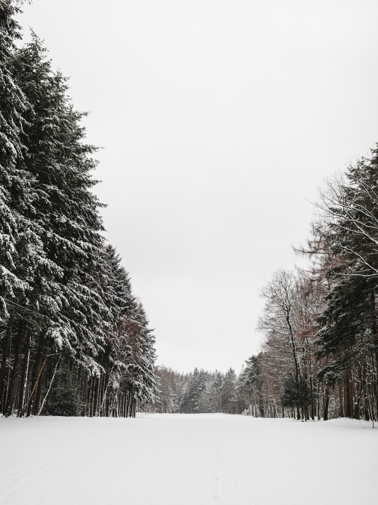 Winterwonderland #golf #golfstargram #oldenburgermünsterland