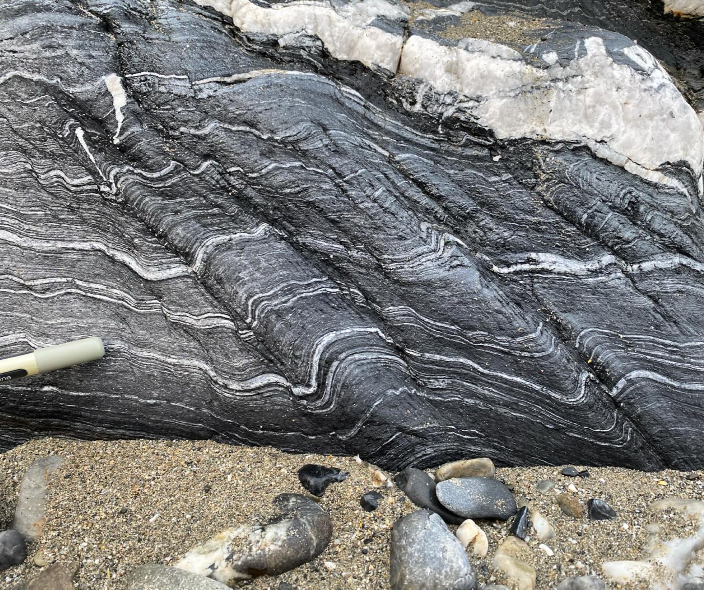 Second phase deformation in rocks at Carne Beach on the Roseland.
Tectonics are continuous but their dynamics can evolve over time. Changes in direction and intensity of stresses in the crust deform rocks differently, which provide a record of how plate tectonics evolve through Earth’s history.
Here, a moderately inclined S2 crenulation cleavage and F2 folds deforms a bedding-parallel S1 cleavage.
We can tell the relative age from cross-cutting relationships. The S1 foliation has been buckled by strain that created the S2 cleavage.
Also, the earlier cleavage and bedding has undergone pressure dissolution along the S2 cleavage, making it look like layers have been cut out.
Both 1st and 2nd phase deformation in south Cornwall formed during convergence tectonics related to the Variscan Orogeny during the Paleozoic.
Both deformation events have a top sense of shear to the NNW. However, the relationships we see here suggest a time gap between events. There is also a clear change in strain intensity, with D1 being higher strain than D2.
Whilst D1 is ubiquitous in the area (another indication of high strain), D2 structures are more localised. They largely occur around late stage thrust faults, where strain is more likely accommodated.
The fact there are two distinct deformation episodes suggests this transition was not entirely progressive, and that there could have been a hiatus in Variscan tectonics.
One theory is it represents a change from subduction tectonics to continent-continent collision during the Carboniferous, after the two tectonic plates had effectively locked together.
#structuralgeology #tectonic #variscan #roseland #cornwall #cornwallgeology #cornishgeology #geology #geologylife