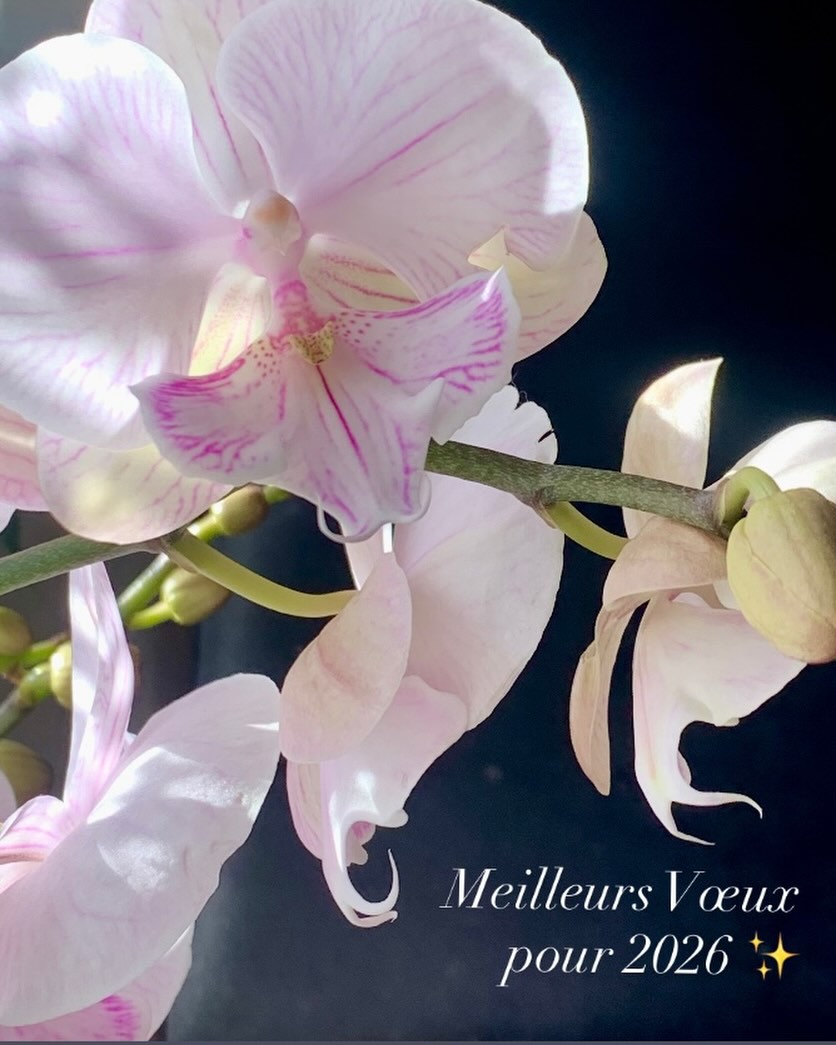 Une nouvelle année vient de s’ouvrir : mon activité à l’Atelier N°58, ce lieu superbe et inspirant, me laisse en permanence entrevoir de nouveaux développements qui, petit à petit, prennent forme. Confiance, sérénité, inventivité… chaque jour est une découverte ! Que de challenges pour 2026 ✨
A new year has just begun : my work at Atelier N°58, this superb and inspiring space, constantly allows me to glimpse new developments that are gradually taking shape. Confidence, serenity, inventiveness… every day is a discovery! So many challenges ahead for 2026 ✨
#jgrimo #femmeartistepeintre #acrylicpainting #upcycling #seekinspirecreate contemporaryart maussane provencealpescôtedazur regionsud