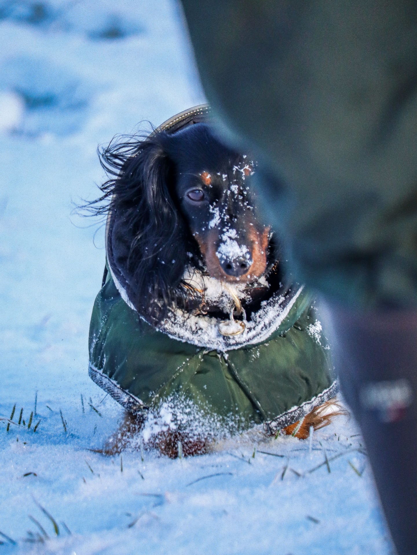 Der Winter kleidet die Welt in Weiß, damit wir sie mit neuen Augen sehen können. ❄️
——-
Sonntagsspaziergang ♥️