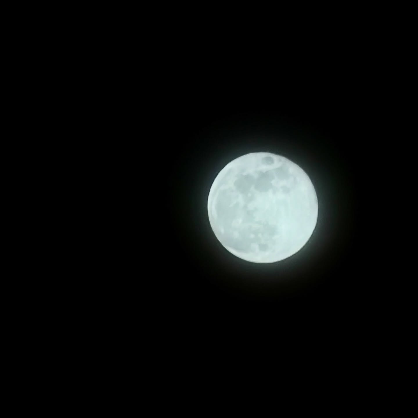 took a small break. hibernation, complete.
swipe through last week.
this cemetery shot is aesthetic, for me.
wolf supermoon was insane.
winter, held by family.
focusing on time, perspective, and health.
@cindercin celebrated 70 ✨
#hallmarkheroine #grateful #sheshome
new art next. recap with you tomorrow.