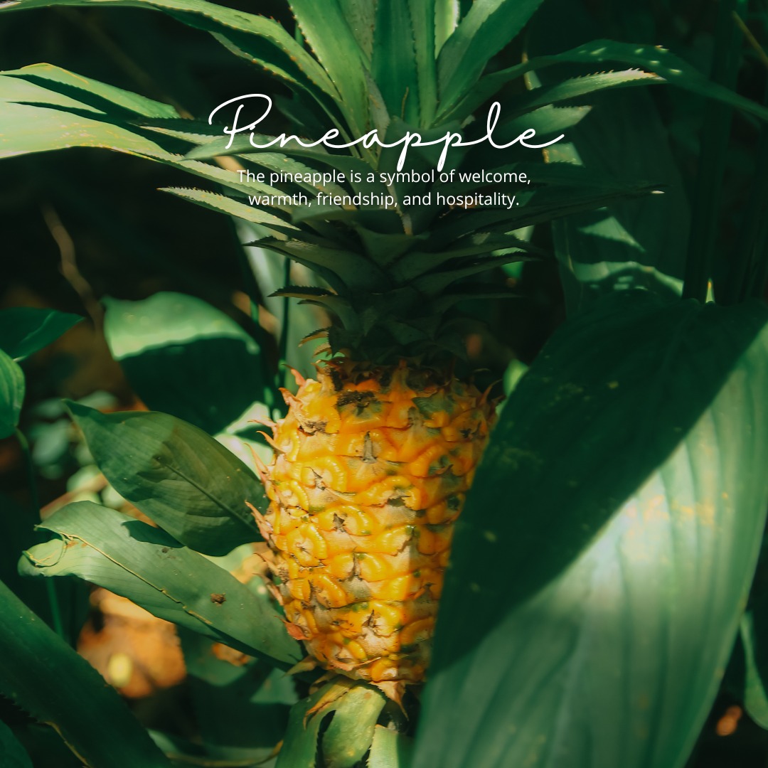 Long before hospitality became an industry, the pineapple stood at the door as a quiet promise, you’re welcome here 🥰
That idea stayed with us.
At TPP Homes, we don’t just manage properties.
We curate experiences that feel personal, warm, and human.
Homes where details matter.
Where guests aren’t treated like transactions.
Where comfort isn’t an afterthought.
Every home we onboard is chosen with intention, not just for how it looks,
but for how it feels to live in, even if only for a few days.
Because true hospitality isn’t loud.
It’s thoughtful.
It’s consistent.
And it always makes room for people.
This is what the pineapple means to us.
And this is the kind of welcome we believe in. 🍍
#TPPHomes #ThePineapplePads #ModernHospitality #ThoughtfulStays #STR #ShortTermRentals (Airbnb, STR, India, 2026)