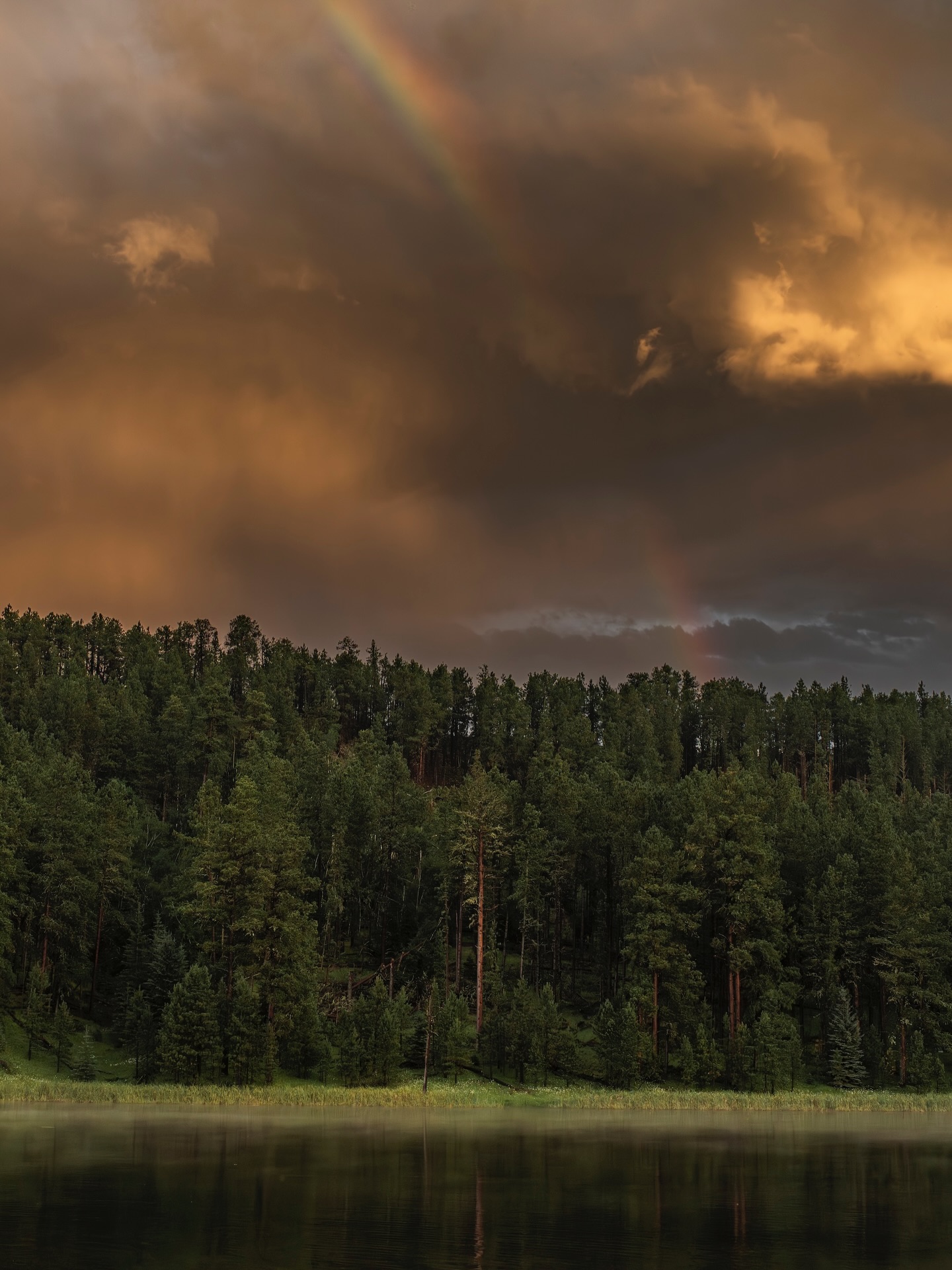 A new year doesn’t ask us to start over.
It asks us to choose what we want to live with.
Different spaces call for different moods.
Different seasons of life resonate with different landscapes.
This collection isn’t curated by trend, it’s curated by feeling. Moments of calm. Depth. Stillness. Drama.
If one of these feels like it belongs in your year ahead, it probably does.
Moments worth living with. Real, Raw nature.