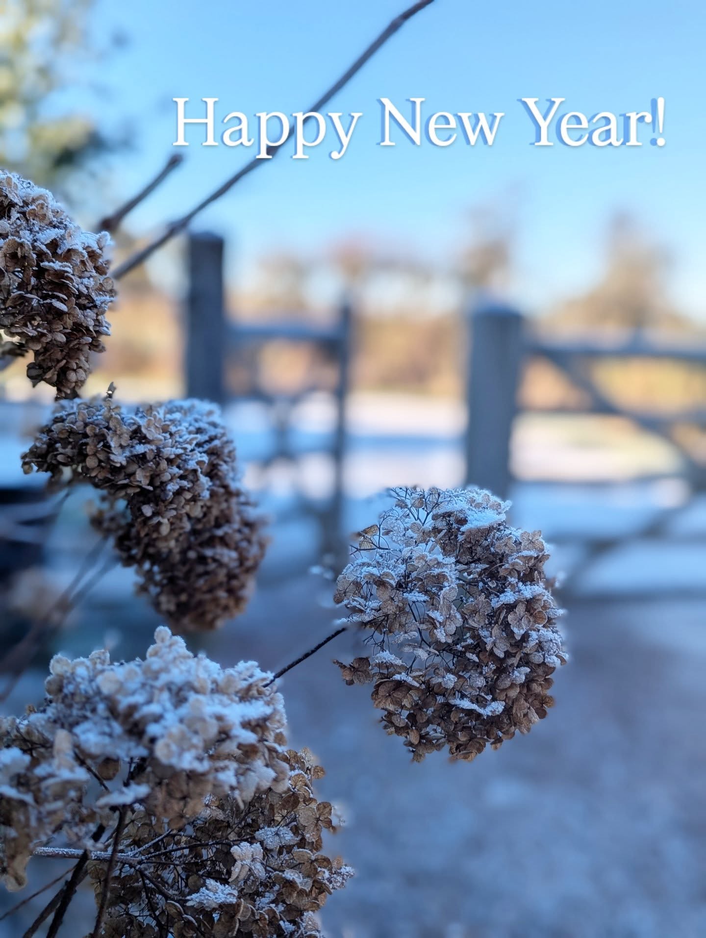 All of our design, landscaping, and nursery teams were back in the office today for the first time this year, full of energy and really looking forward to an exciting new year!
Thank you for all of the interest over the Christmas period. We're replying to all new enquiries now.
Wishing all our friends and followers all the best for 2026!