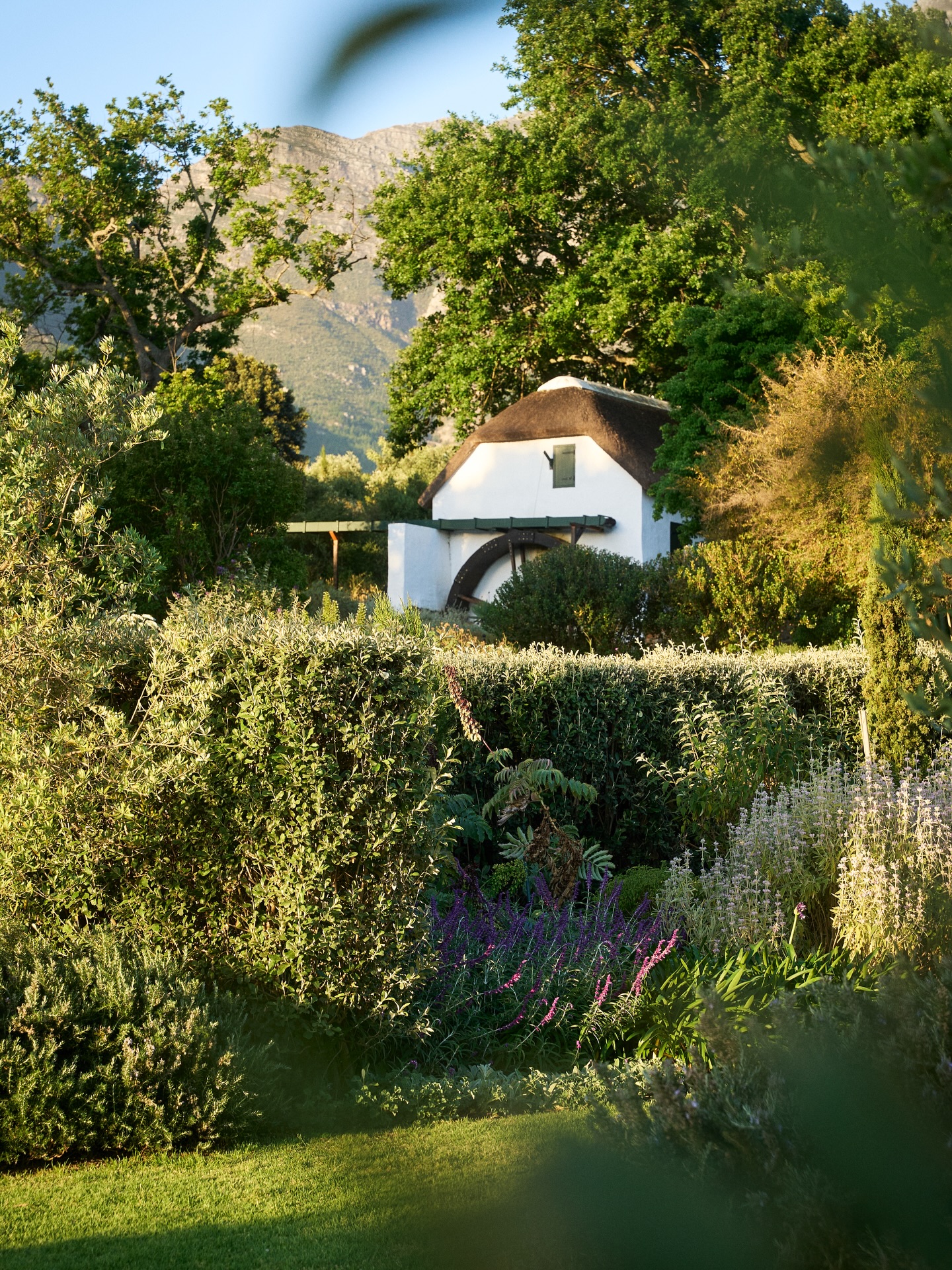 Welcoming 2026 from our corner of the Franschhoek Valley!
To everyone who wandered on the farm, stayed in our lovely accommodation, celebrated milestones or simply dreamed of visiting us from afar - thank you for being part of 2025 with us.
Here’s to a gentle, joy-filled and abundant year ahead.