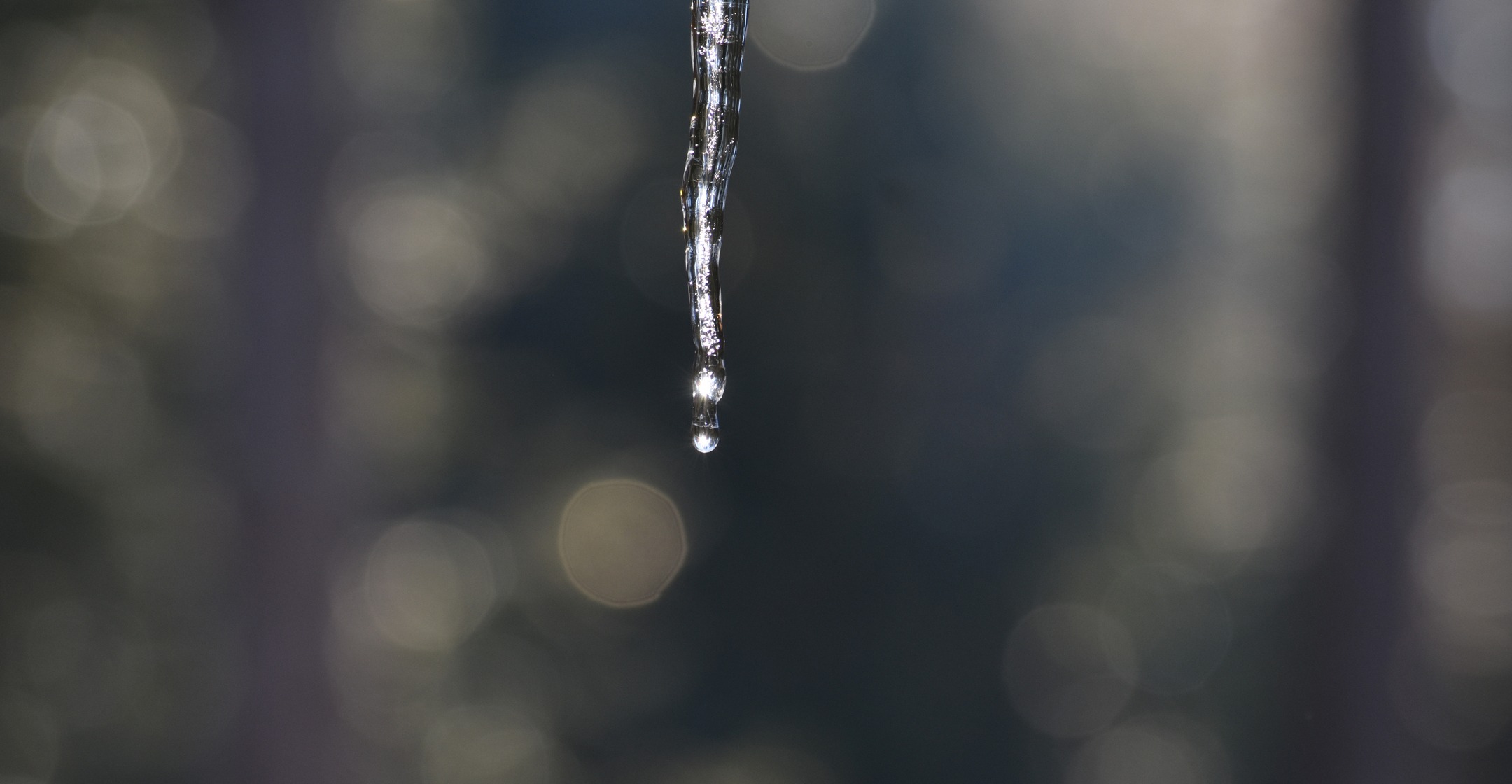 Beauty everyday - Jan 3 - from my daily photo journal.