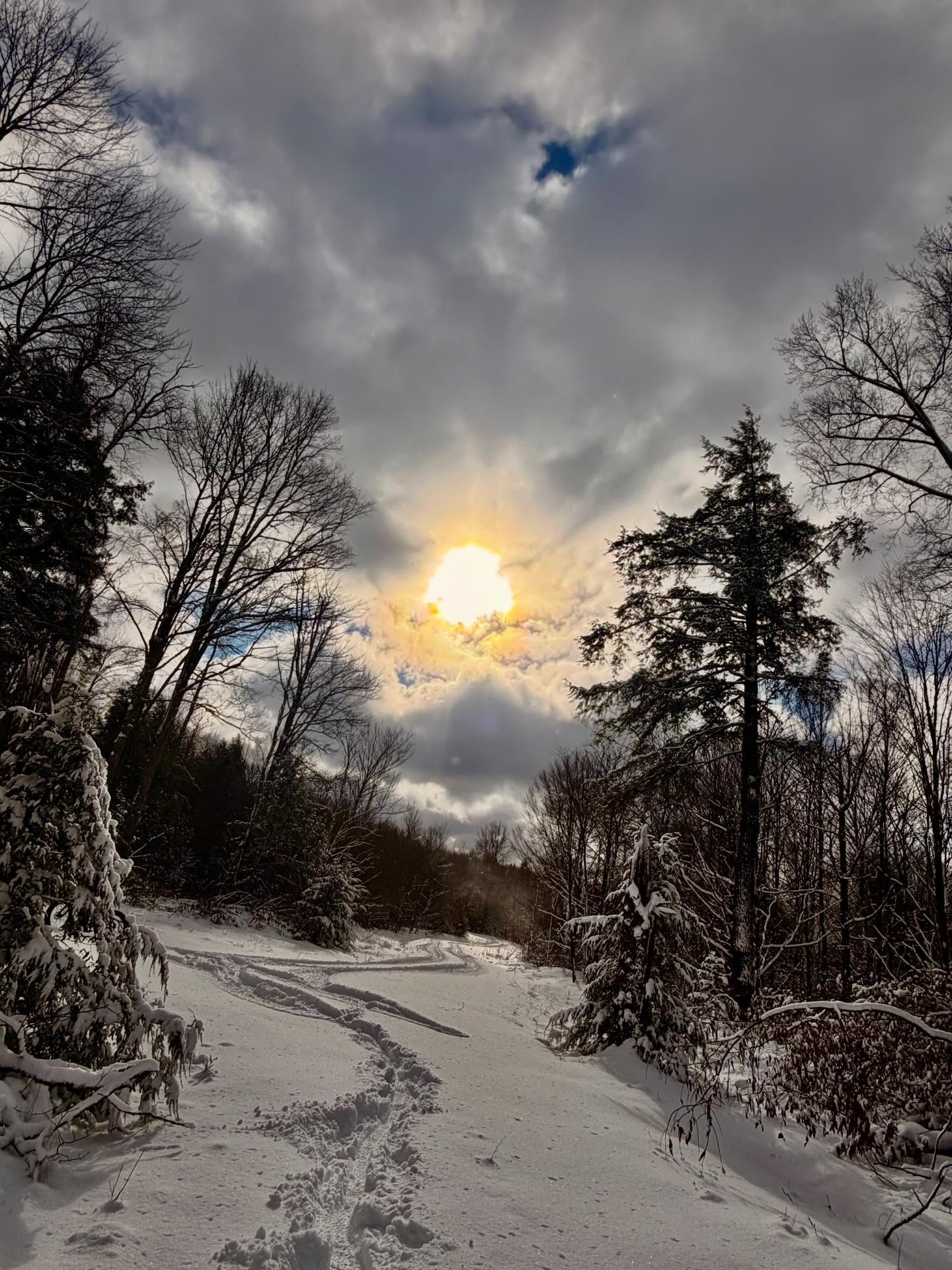 We’re over here in the @alleghenynationalforest today wishing everyone a Happy New Years and thanking everyone that was part of 2025! Special thanks to @mudbeardbike for always having the gear hookup, @tailwindnutrition for keeping our bodies full of liquid energy, @tifosioptics for keeping us stylin and our eyeballs safe, @giordanacycling for the comfy clothing, and @squirt_cycling_us for keeping our chains running smooth and our bikes squeaky clean! Here’s to another amazing year!