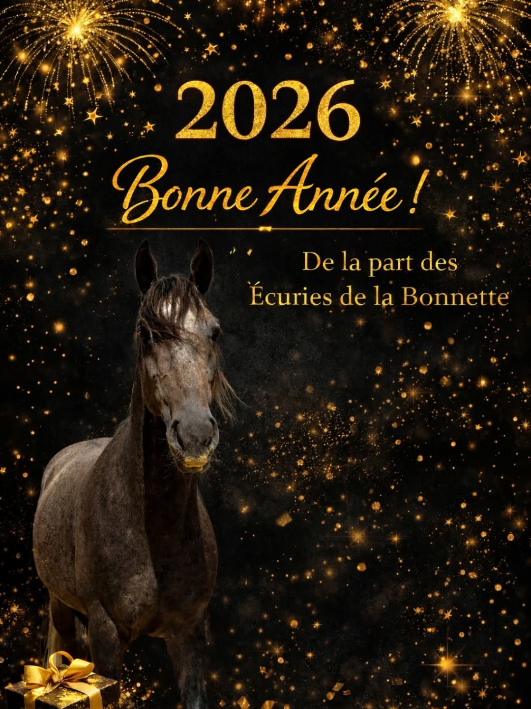 Une nouvelle année commence… ✨
Nous vous souhaitons une année remplie de joie, de rêves à réaliser, de douceur et de beaux instants partagés.
Une année remplie de passion, de progrès, de complicité avec vos chevaux et de belles aventures à leurs côtés 🤍🐎
Merci de nous accompagner jour après jour dans cette belle aventure 🤍
Très belle année à tous,
Les Écuries de la Bonnette 🐴✨