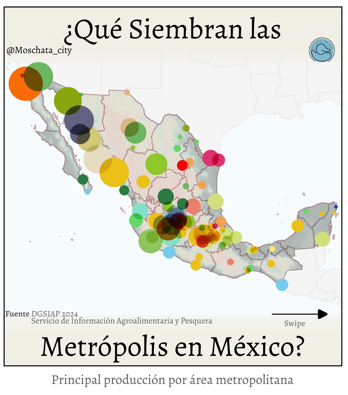 Las zonas metropolitanas concentran mucho más que la mancha urbana visible. Son conjuntos de municipios funcionalmente integrados, donde la actividad económica —incluida la agrícola— ocurre tanto dentro como fuera de la ciudad construida. Analizar la producción agrícola a este nivel permite entender mejor cómo se articula el territorio y de dónde proviene realmente el valor económico.
En 2024, la zona metropolitana de #ensenada encabezó el ranking nacional de valor de producción agrícola, impulsada principalmente por la fresa, un cultivo de alto valor que combina clima, infraestructura y acceso a mercados. Le siguen la zona metropolitana de #hermosillo, donde la uva domina la producción, y #culiacan, cuya fortaleza sigue siendo el maíz en grano, base histórica de la agricultura comercial del país.
No es casualidad que las zonas metropolitanas más productivas se concentren en #sonora y #sinaloa. Estas regiones combinan escala productiva, especialización agrícola, acceso a riego y cadenas logísticas consolidadas que trascienden los límites municipales y urbanos.
Este tipo de análisis recuerda que cuando hablamos de áreas metropolitanas no nos referimos solo a la ciudad densa, sino a todos los municipios que la conforman, donde gran parte de la producción ocurre fuera del perímetro urbano, pero sostiene su economía y su papel regional.
📊 Análisis a partir de datos oficiales de cierre agrícola 2024
🗺️ Agregado por zona metropolitana (no solo cabeceras urbanas)
#agricultura #zonasmetropolitanas #datos #territorio #analisisregional #geografia #ejido #mexico #moschataanalytics #inegi