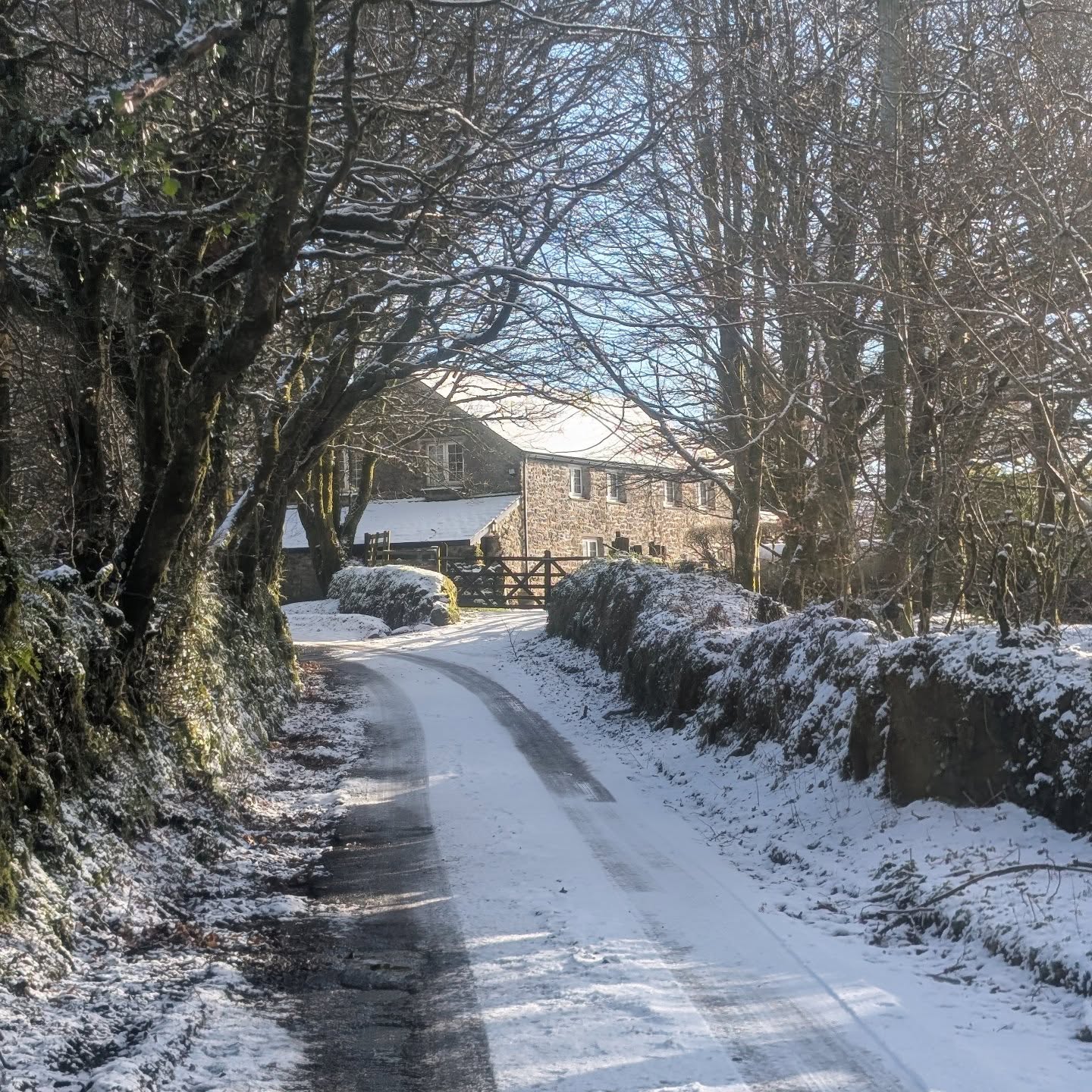 It's like a scene from a Christmas card here at the moment ❄️
.
.
.
#snow #dartmoorholidaycottage #dartmoornationalpark #holidaycottagesuk #dartmoor