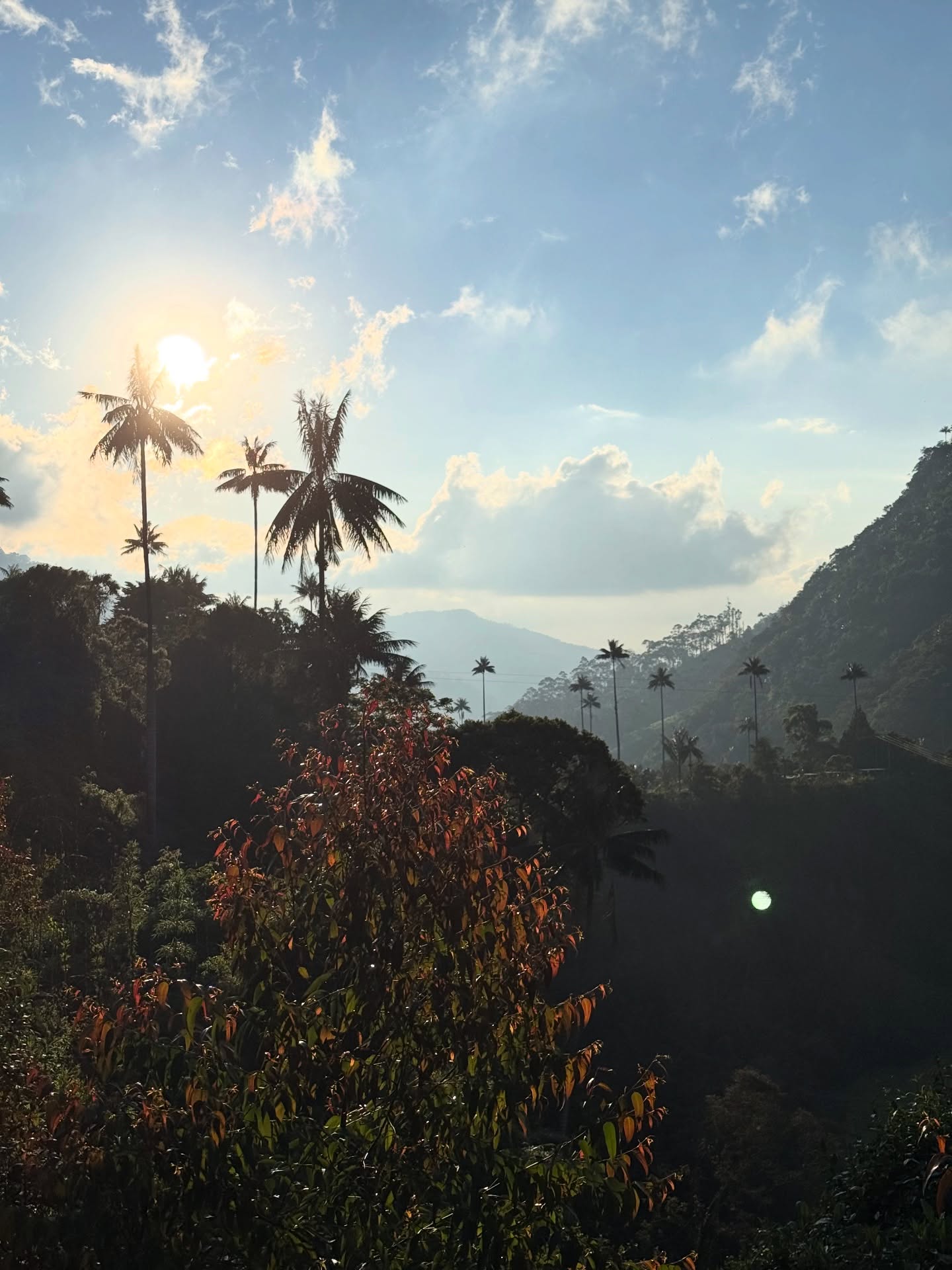 Life at Donkey Sunrise lately 🌴☀️
It’s been a little quiet here. Not because nothing was happening… but because everything was happening!
Hosting amazing people, sharing meals, riding bikes, fixing bikes, planning tours, and soaking up life together. Here’s a little glimpse:
📸 1: The stunning Cocora Valley during our last private tour of the year
📸 2: Festive-season breakfasts: fruits, protein, good coffee and even better company
📸 3: Christmas chiropractic care at Donkey Sunrise with Michael from @flow_chiropractic
📸 4: A lovely couple from the Czech Republic & Taiwan, passing through on their 6-month adventure
📸 5: Patrick from Canada. Stayed two weeks to fix his bike, joined some rides, celebrated Christmas with us and accidentally fell in love with our fleet bikes 👀
📸 6: Happy chaos. Exactly how we like it
📸 7: Frank enjoying the views during his private tour through the coffee region
📸 8: Endless green mountains. This is where your coffee comes from!
📸 9: “STOP, POLICE!” — “Do you guys already have a wife?” 😂
📸 10: Eleazar making sure we all eat our veggies
📸 11: Good vibes at our last dinner of 2025
📸 12: First aid training — yes, we also offer first-aid kits for the road
📸 13: An authentic coffee farm just 20 minutes from us; get in touch for tours!
📸 14: Our 2026 tours are ready! Want to experience the real Colombia? Let’s go! 🌎🏍️
🇨🇴Planning your Colombian adventure in 2026?
Here’s how we can help:
• Comfortable rooms & like-minded moto adventurers
• Private & guided motorcycle tours
• long stay packages: escape winter, work & ride!
• Motorcycle support & services along the way
• Local knowledge, good food, good rides & great people
📩 Get in touch for more info. We’d love to welcome you at Donkey Sunrise! 🙌🏻
#mototraveler #donkeysunrise #colombia #motorcycletravel #colombia