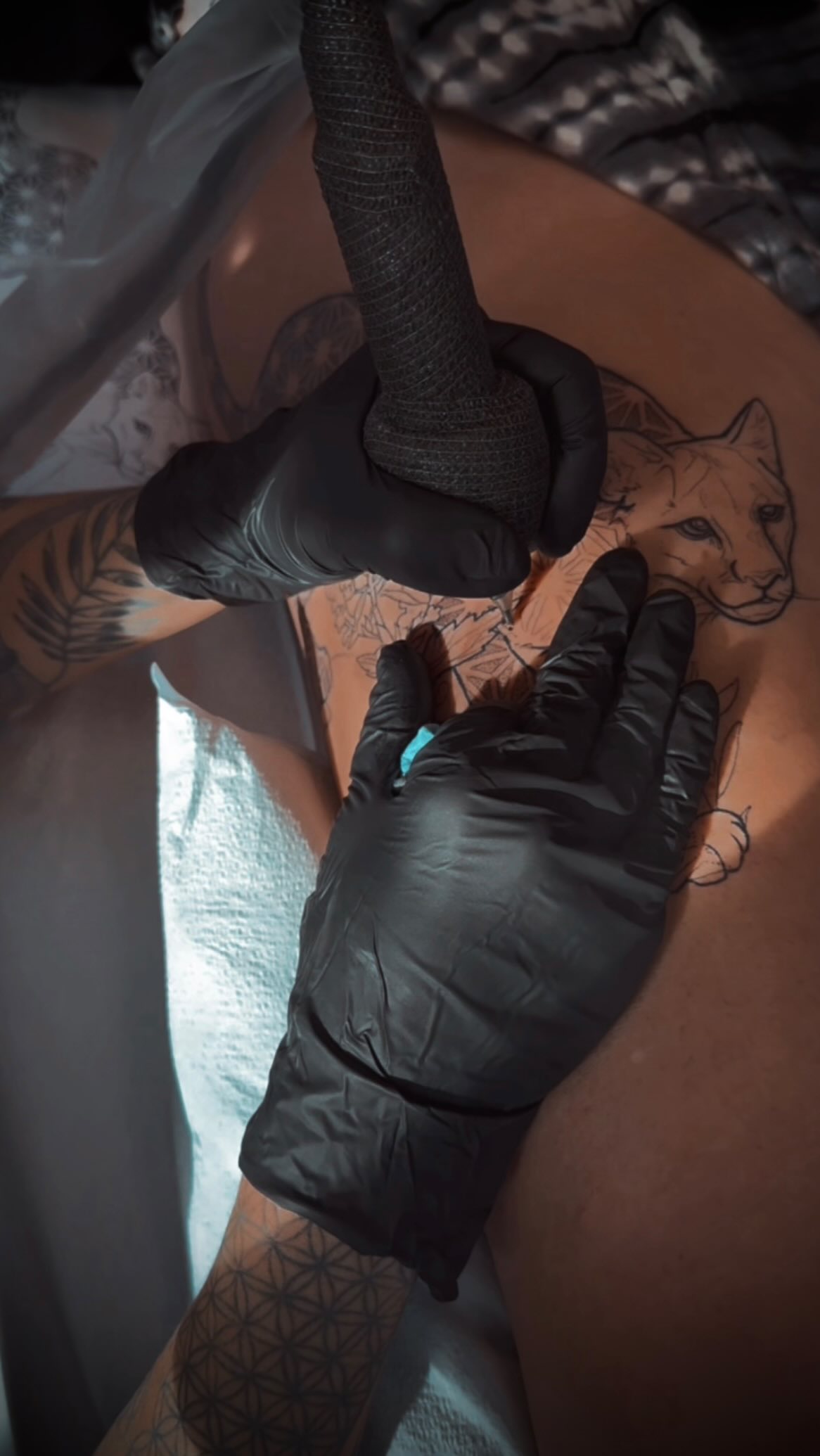 Such a joy to tap into the magic realms with this sweet cat soul and her Mountain Lion ally. We made a good start so far but just you wait for cedar to come wrap this meow with all potency and beauty of the west coast. Soooo thankful to make tattoo dreams come true with you cats 🐆🐈⬛ blessings to what creative visions you are dreaming into the new year.