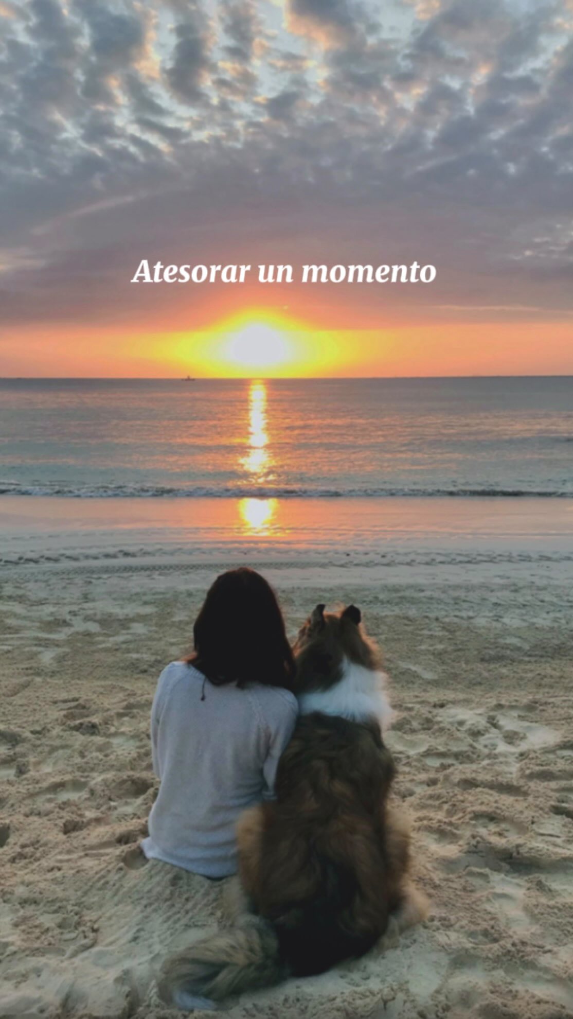 🐾En este camino de aprender a vivir sin Emma, cada vez me es mas claro que el duelo es un proceso muy íntimo e individual. Porque cada quien encuentra su propio ritmo su forma y su momento para conectar con los recuerdos.🤍
🐾En lo personal la aceptación y la gratitud han sido claves para poder seguir viviendo con alegría ,sin dejar de honrar lo que fue parte de mi vida. 🌈🐾
🐾Poco a poco en las manualidades que siempre me han gustado he encontrado una manera también de expresar y transformar lo que siento. En mi caso ha sido unir el gusto por crear y a su vez revivir un recuerdo que tenga un mensaje lleno de amor .🧵
⭐️Gracias a @azahart_handmade por ayudarme a convertir estas ideas en algo tangible ,en pequeñas pulseras que puedo traer conmigo.Es un arte lo que haces. Gracias por ayudarme en capsular estos momentos. 🤍🐾
#amorperruno #manualidades #recuerdos #duelo #mascotas