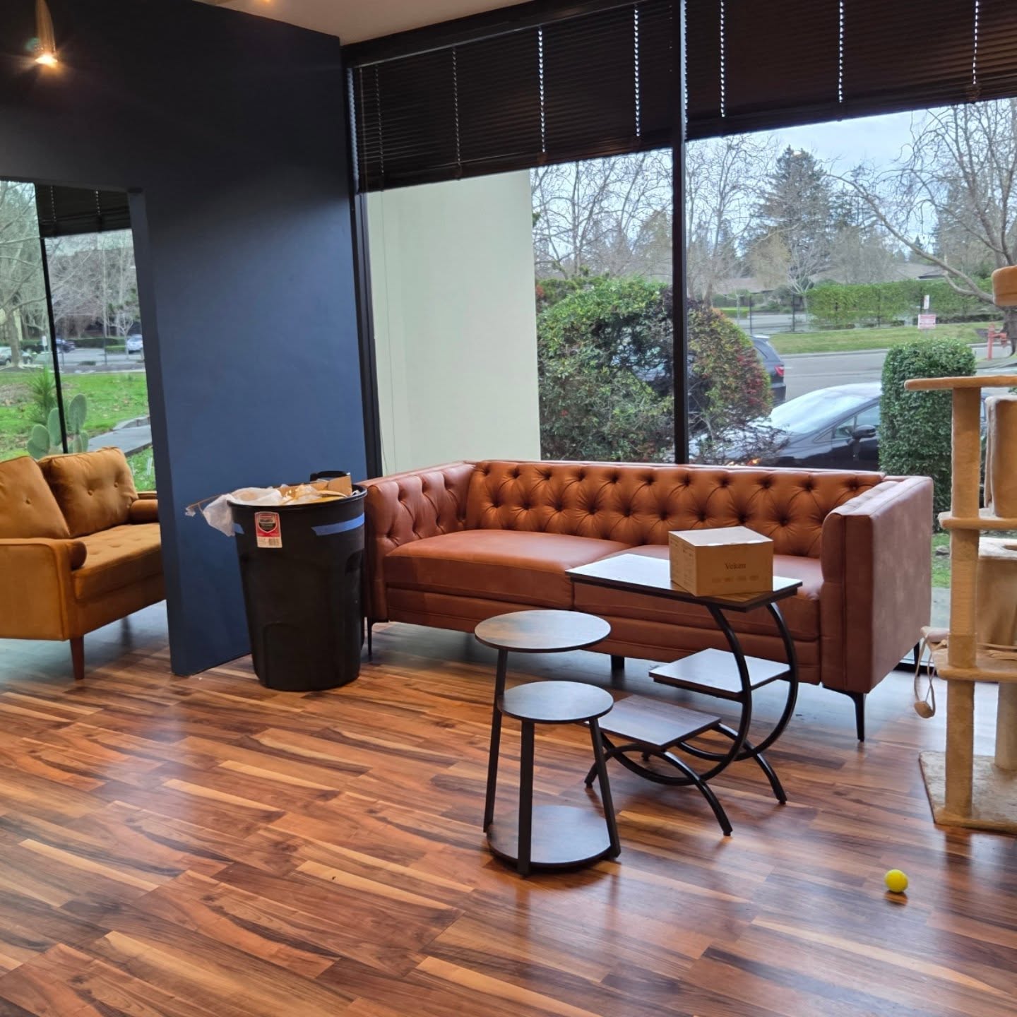 Cat lounge progress!!!