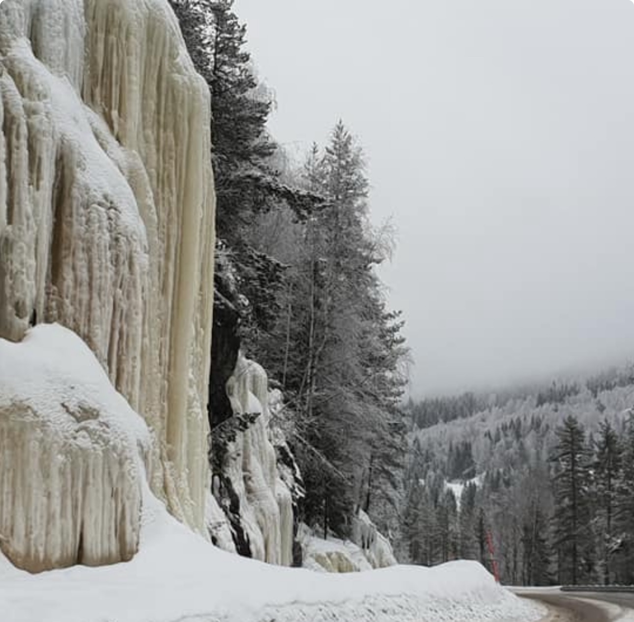 Naturen vet hvordan man finner ro. Vi hjelper deg å holde på den. Bestill din time i dag!👇www.lillehammerspa.no
Nature knows how to find peace. We help you keep it. Book your appointment today!
#luksusihverdagen #premium #velvære #spaopplevelse #wellnesslife ro stressned avslapning glød pustut kvalitetstid pause harmoni spadag tilstede