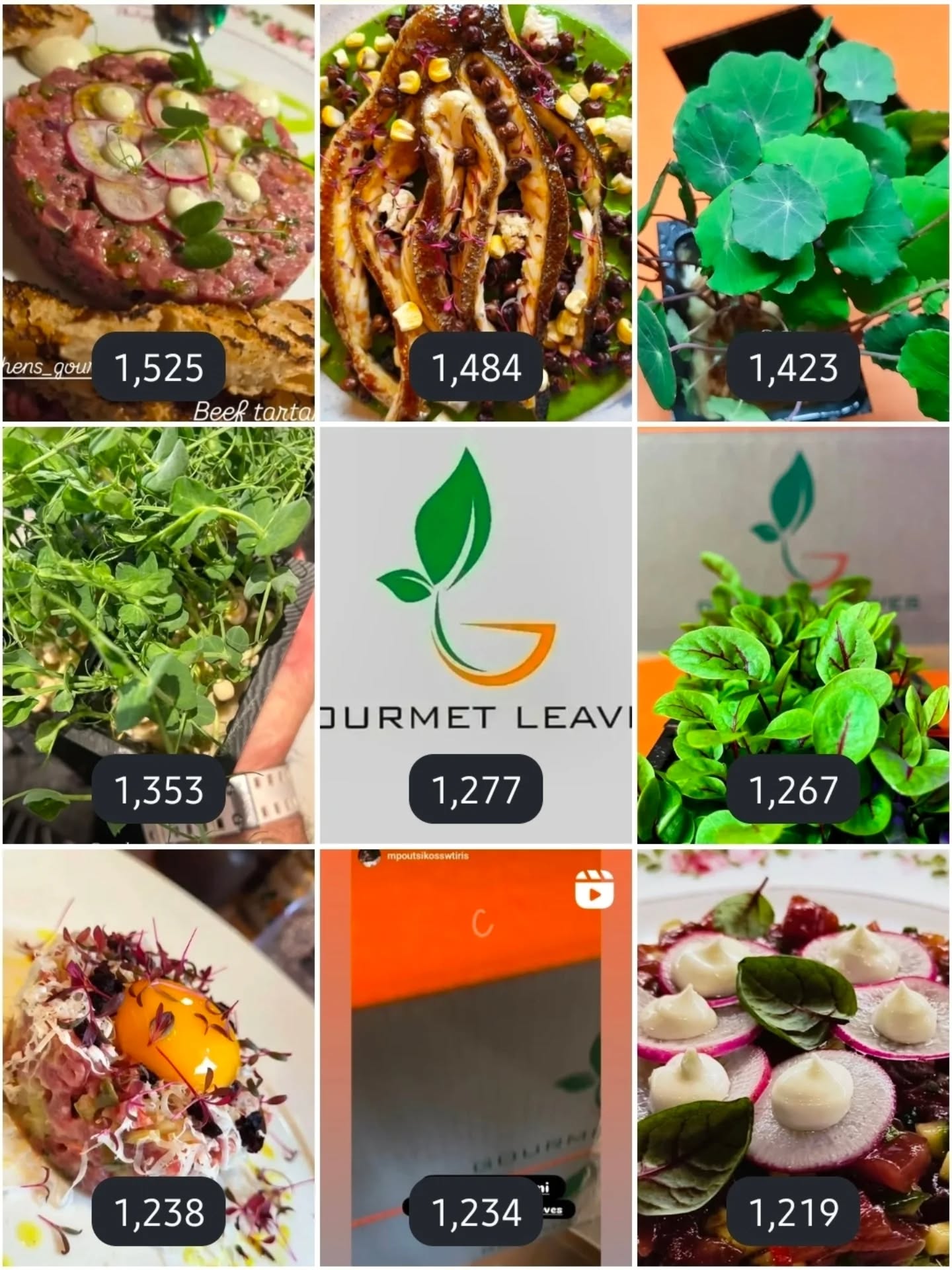 @athens_gourmet_leaves announces the TOP listed dishes for 2025:
1) Executive Chef @chefmthras (Congratulations 👏)
2) Executive Chef @vasilis_papazachopoulos & @yardrestaurant
3) Executive Chef @thanos__masouris
4) Executive Chef @vasilis_papazachopoulos & @yardrestaurant
5) Chef @mpoutsikosswtiris & @carina_koroni
6) Executive Chef @chefmthras
Congratulations to you ALL, and may we wish an exciting, fascinating and creative New Year !
#dirt_free_microgreens
Athens Gourmet Leaves 🇬🇷 Greek Microgreens 🇬🇷 Packed and delivered as fresh as it gets all over Greece🌱
Eat your greens 🌱
#supportlocal
#athensgourmetleaves #microgreensgreece #microgreens gourmetcooking mediterraneancuisine greekrestaurants athensrestaurants greekchefs dirtfreemicrogreens gourmetcooking gourmet eatyourgreens microgreen artdelatable🍽 urbanfarming greekmicrogreens
verticalfarming madeingreece producedingreece chefstalk gastrobar culinaryarts culinary garnish chefsofinstagram cheflife happychef artonplate artonaplate