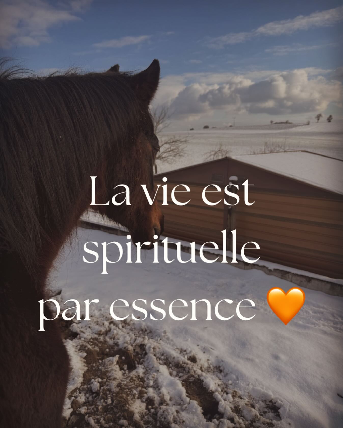 Souvent on me demande mais que dois-je faire pour éveiller mes dons ?
Il n’y a rien à faire si ce n’est de comprendre, écouter et ressentir ce que vous traversez dans votre vie et pourquoi vous le traversez.
Quel apprentissage, évolution et libération il y’a derrière cette situation, cette relation, ce travail, ce choix, cette décision qui me permet de me connaître véritablement et d’éveiller mes médecines et mes dons ?
Comprendre que la vie n’est pas un hasard et qu’elle est bien faite.
Que ce soit les rencontres, les situations, votre famille, vos amies, le travail que vous avez choisis…
La vie vous amène à comprendre qui vous êtes, ce que vous êtes venus faire sur terre quoi, quand, comment et pourquoi.
Mais si vous écoutez vos peurs, votre mental, alors oui vous ne comprendrez pas et n’arriverez pas à décoder le subtil et où il cherche à vous amener.
Non pas qu’il n’y ai pas de peurs et le mental qui a son rôle à jouer sur le chemin de l’éveil de l’âme bien au contraire mais cela vous demandera d’aller au delà de vos peurs et de faire des choix non pas avec sa tête mais avec son cœur 💗
C’est là que réside la clé de la fin des schémas répétitifs, de l’évolution, de votre croissance et guérison non pas dans le tangible mais dans l’intangible..
Et alors toute votre vie commencera à avoir du sens..
Ayez la foi et laissez vous porter et guider par le grand mystère car le hasard n’existe pas 😉😘
Ce n’est pas le chemin le plus facile mais c’est le plus beau et le plus porteur qui soit 🧡
À toute les âmes sensibles, je vous souhaite pour cette nouvelle année 2026 de suivre vos rêves d’enfants, d’écouter votre cœur, vos passions, ce qui vous fait vibrer et vos élans 🙏
Avec conscience & amour ✨🪶
Christelle 🙌
