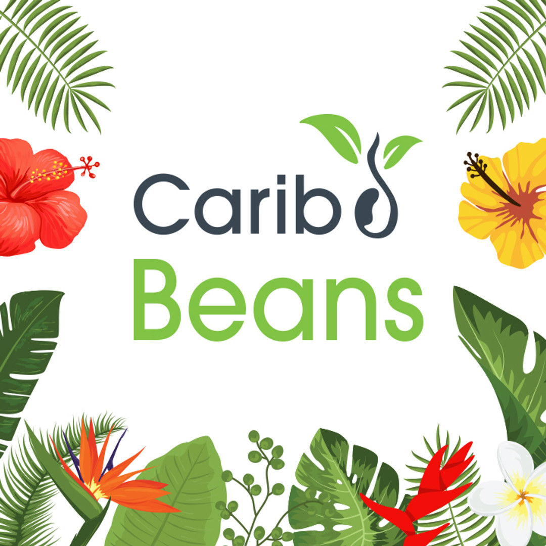 🎉 Célébrez la nouvelle année avec nous ! Obtenez 30% de réduction sur un achat minimum de 100€ grâce au code BONNEANNEECARIBBEANS. Lien dans la bio ! #BonnesAffaires #Coupon #NouvelleAnnée