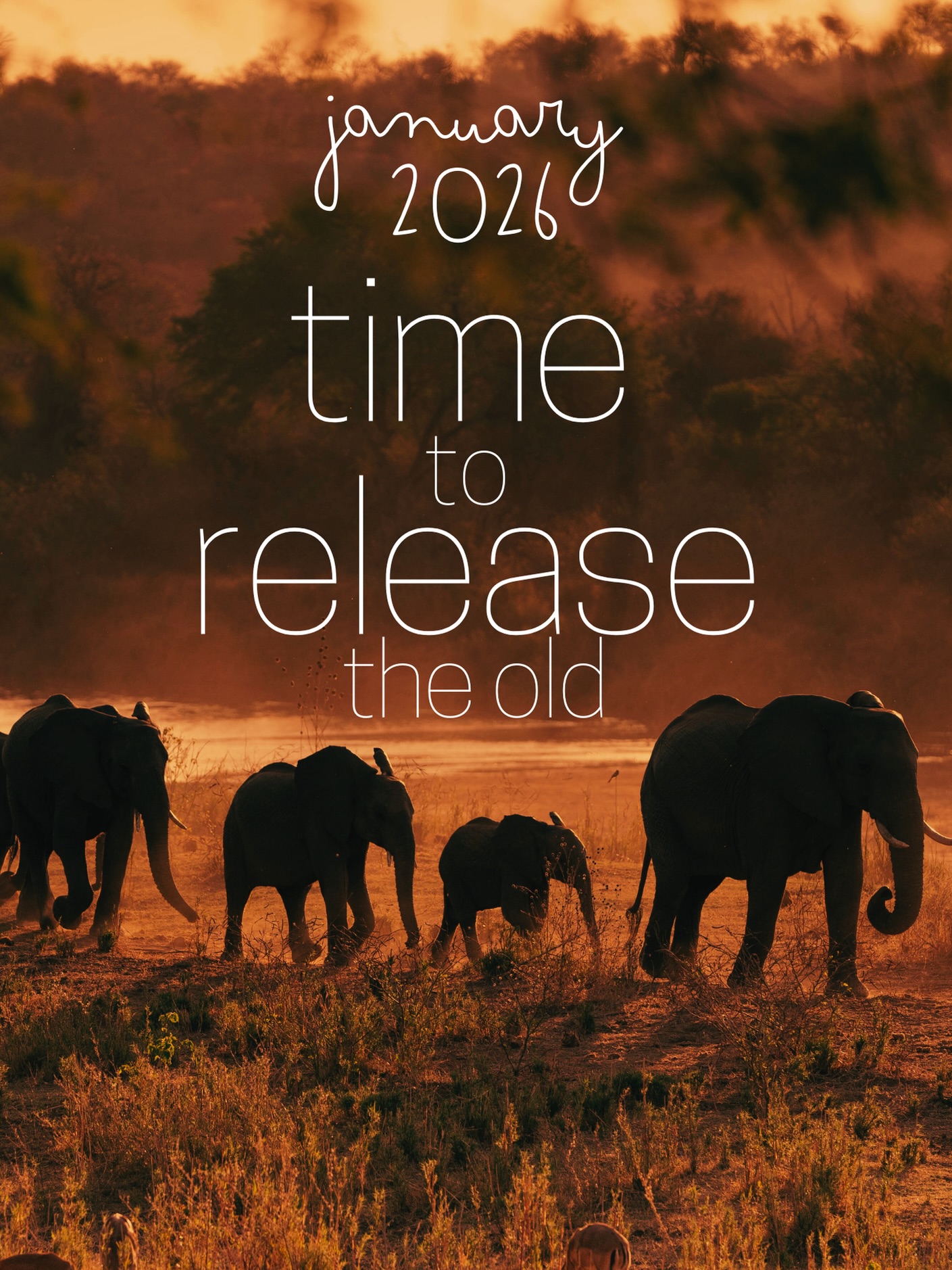 🌿 Let the wild and wise nature around you reconnect us with the wild and wise nature within you
🌿 Rewilding Your Soul | 30 Jan - 1 Feb 2026 | Sashwa River of Stars
🌿 RELEASE | RESET | RECONNECT | REWILD
🌿 To book: DM or click on link in bio
#sashwa #retreat #selfcare #2026