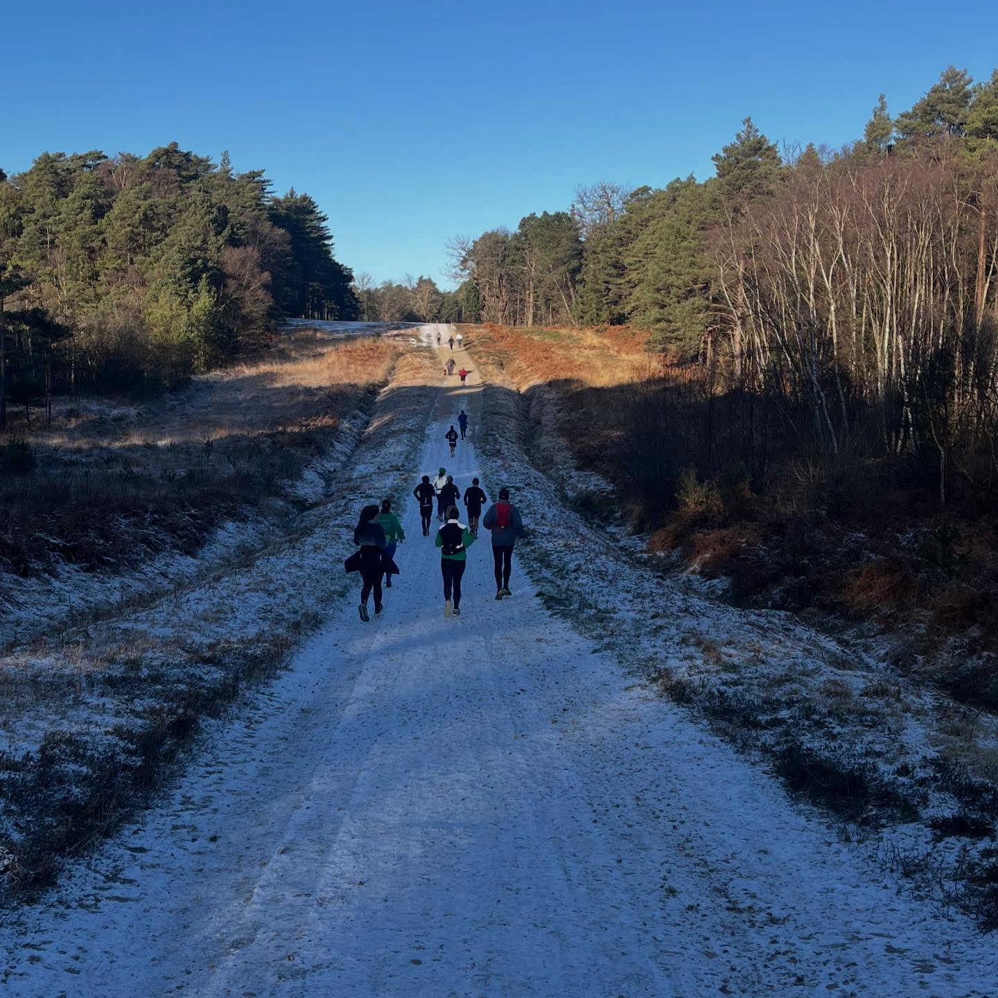 Another beautiful day in the forest with friends, wrap up warm and enjoy your run or walk.
#running #walking #wintersday