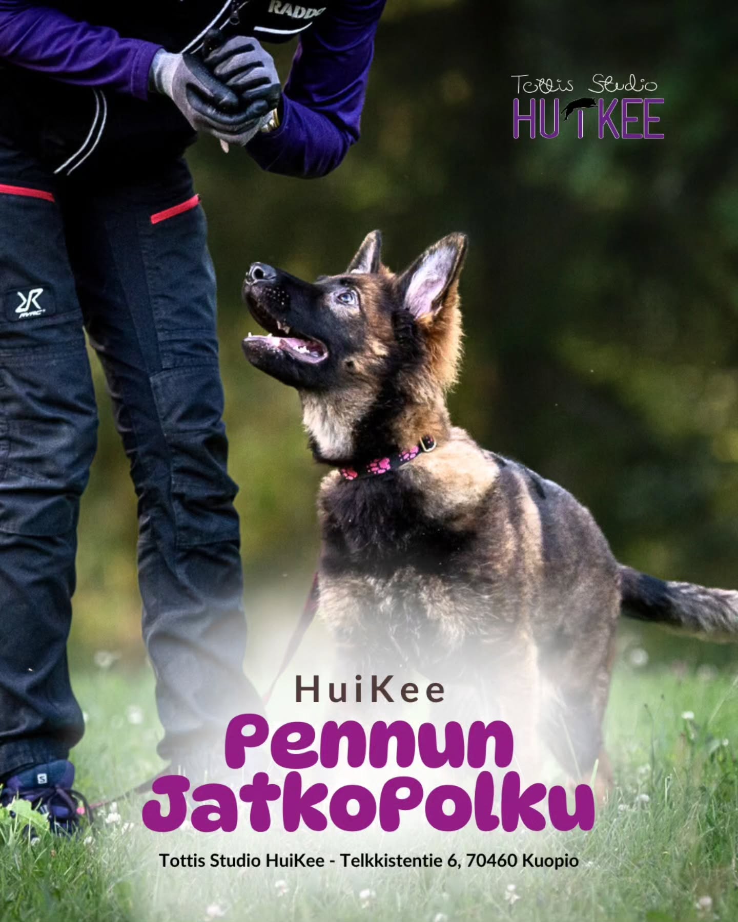 ✨️ HuiKeen Pennun JatkoPolku ✨️
Vahvat taidot arkeen - keskittymistä, malttia ja hallintaa.
❤️ Tammikuussa alkamassa
▫️ 11.1 Sunnuntaisin klo.17-18
▫️ Ohjaa Sofia @tmisofiamartikainen
▫️ Hinta 96€
▫️ HuiKeen hallilla Kuopion Kelloniemessä Telkkistentie 6, 70460 Kuopio
🔹️ Ilmoittaudu mukaan
www.tottisstudiohuikee.fi
Pennun JatkoPolku kurssi on pennuille, jotka osaavat jo PerusPolku kurssilla opetellut asiat ja ovat valmiita syventämään ja lisäämään taitojaan. Kurssilla keskitytään positiiviseen, motivoivaan ja rakentavaan tapaan lisätä arjen sujuvuutta: parempaa keskittymistä, vahvempaa kontaktia ja selkeämpää yhteistyötä.
Harjoitteet tukevat kasvavaa pentua sen kehitysvaiheessa ja auttavat arjen haasteiden läpi - askel kerrallaan kohti varmaa yhdessä tekemistä. Kurssi antaa pennulle sekä teknisiä että käytännöllisiä taitoja ja valmistaa hyvin vaativimpiin jatkokursseihin (pentutottis, arkitottis, kontakti haltuun ja lajikurssit). Kurssi on suunnattu PerusPolku -kurssin sujuvaksi jatkumoksi ~6kk-1,5v ikäisille pennuille.
Aiheina tunneilla mm.
▫️Yhteistyön vahvistaminen
▫️Hihnakäytös
▫️Paikallaolo
▫️Luoksetulo
▫️LAT-peli
Lämpimästi tervetuloa mukaan! ❤️✨️
--------‐---------------
✨️ HuiKeen Pentu Startti ✨️
~ Pienestä pennusta kohti sujuvaa arkea ja tulevia harrastuksia ~
HuiKee Pentu Startti kokoaa yhteen neljä eritasoista ja eri kehitysvaiheisiin suunnattua pentukurssia. Ne muodostavat selkeän, lämpimän ja tavoitteellisen polun pennun ensimmäisiin viikkoihin, arjentaitoihin ja aina harrastuslajeihin tähtääviin perustaitoihin asti. Voit käydä koko polun pentusi kanssa läpi tai yksittäisen kurssin.
Pentu Startti sisältää kurssit:
✨️ PentuEskari
▫️Pikkupennun parhaat alkuhetket oppimisen maailmassa!
✨️ Pennun PerusPolku
▫️ Ensiaskeleet huikeaan elämään - pennun ja ihmisen yhteinen alku (entinen perus pentukurssi)
✨️ Pennun JatkoPolku
▫️ Vahvat taidot arkeen - keskittymistä, malttia ja hallintaa (jatkokurssi jossa vahvistetaan arjentaitoja)
✨️ PentuTottis
▫️ Vahva pohja tulevaisuuden tähdelle! (Lajeihin tähtääville pennuille)
#tottisstudiohuikee #koirankoulutus #koirakoulukuopio #Kuopio #koirahalliKuopio