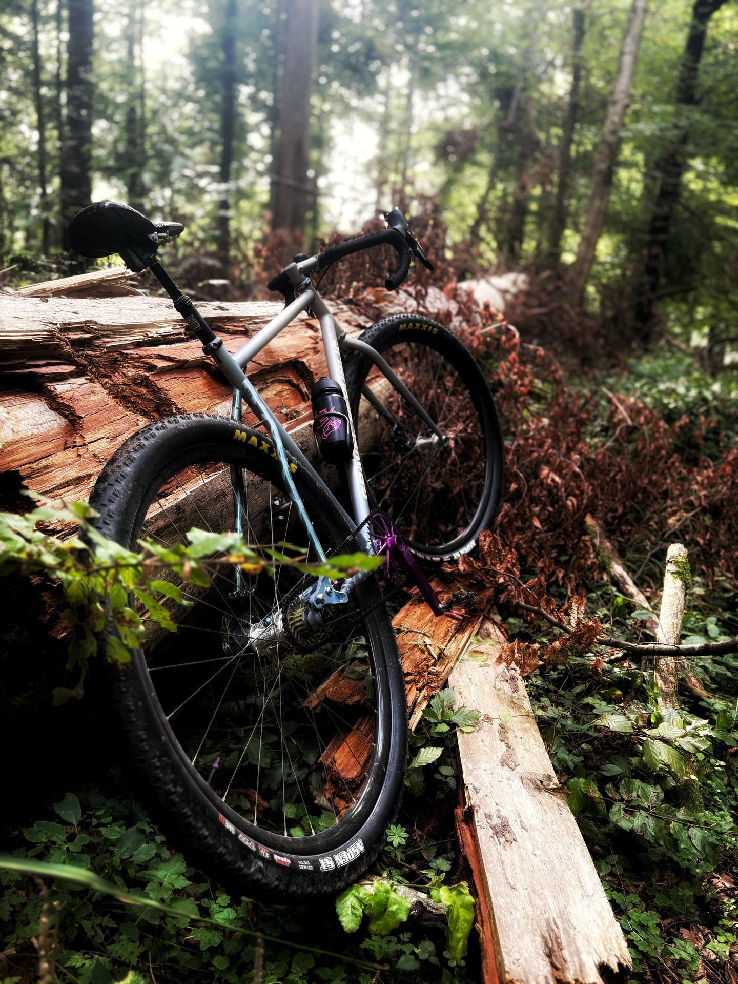 Did I invent a new sport this winter? Maybe. Gravelcross would probably be the best term to describe it. A mix between single-speed gravel biking, singletrack mountain biking and trail running with the bike on the shoulder. The woods around my corner are perfect for it. Lots of little traversing trails between the forest roads. I’m having a blast.
Funnily enough, I built the bike on a whim and only realized what it was good for when I started riding it. Haha!