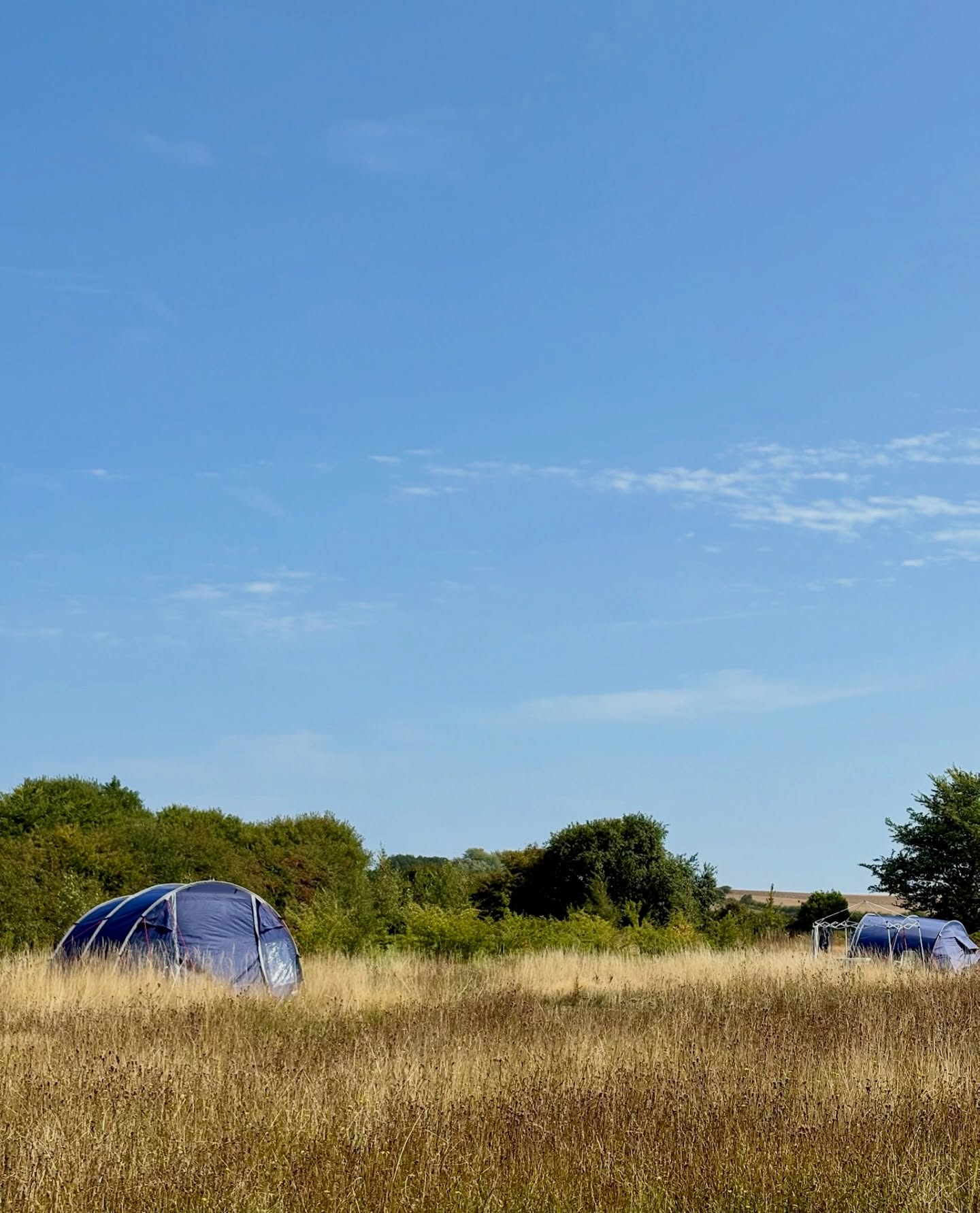 New year, new adventures 🌾 The new year is here and now it’s the perfect time to plan your 2026 escape. We’re a family-run campsite on the beautiful North Norfolk coast, just a short walk from Mundesley beach 🏖️
From our upcycled facilities and cosy shower shacks to fire pits made from recycled wheel rims, everything here is designed to offer a relaxed, rural retreat, perfect for families and pets looking to switch off 🧘♀️
We’ll be open in 2026:
22–31 May
10–20 July
29 July–1 September
Explore what we have to offer and book your pitch today ~ link in our bio ~