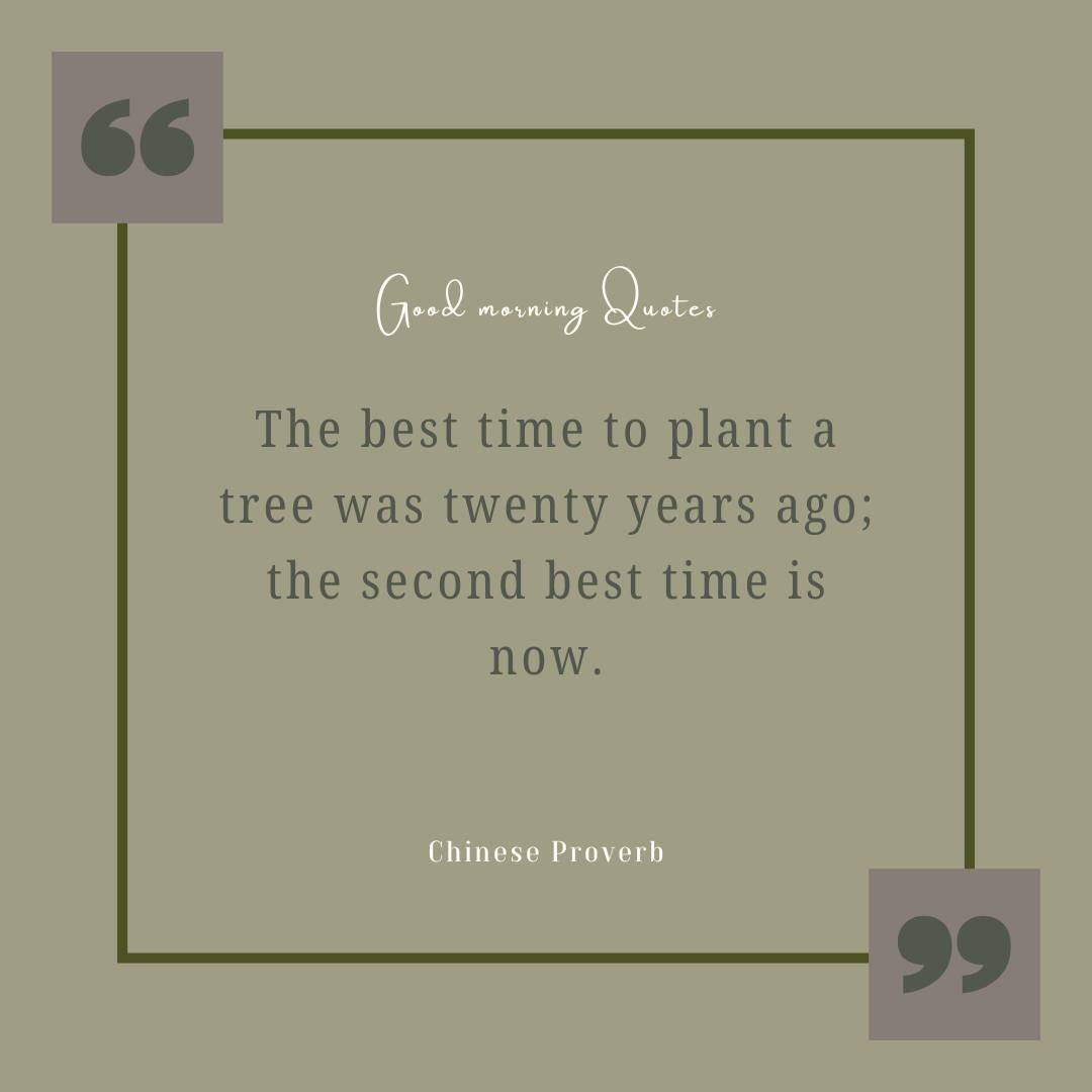 This is one of my favorite sayings. 🌳
No, it’s not quite tree-planting time yet—but spring is coming. And now is the perfect season to dream, plan, and decide which trees you want to welcome into your space.
If you are planning for spring planting here is a quick read to get you started with simple steps
https://www.greensproutliving.com/post/planning-your-spring-garden#viewer-c6rn