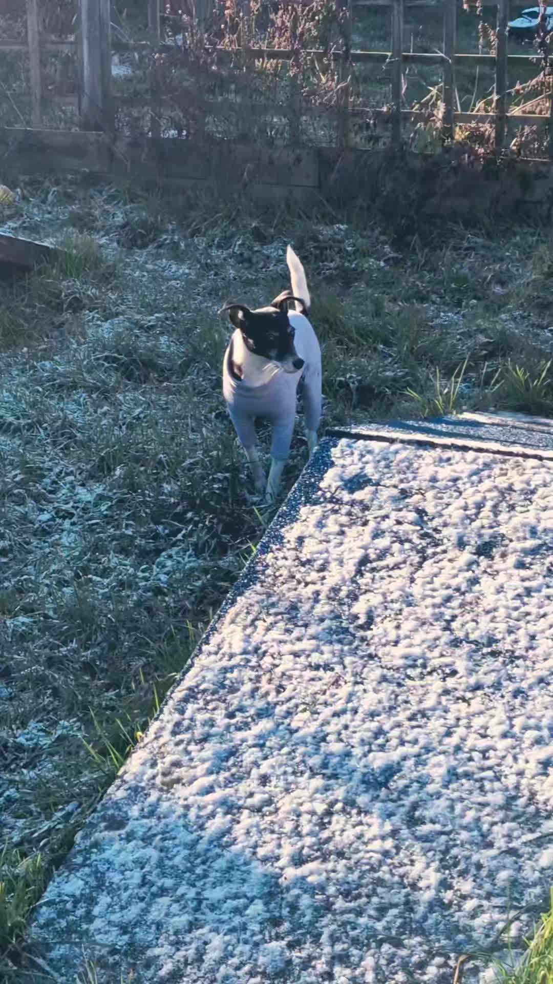 โ๏ธโ๏ธโ๏ธSnow Day!โ๏ธโ๏ธโ๏ธ