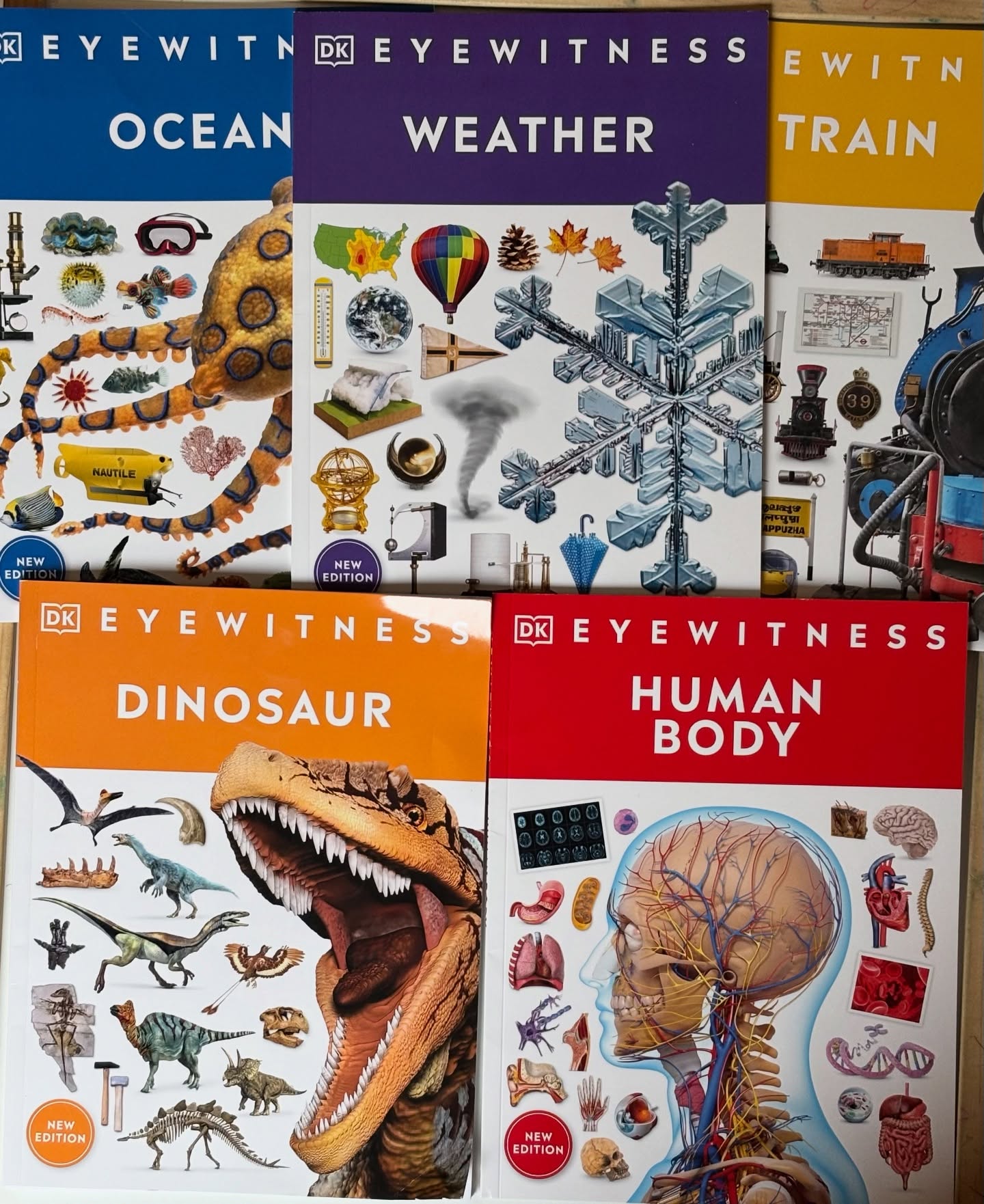 This weekâs screen-free, educational finds in the middle aisle of Aldi.
âď¸Educational books on various topics $3.99
âď¸Colour illustrated workbook-various ages $8.99
âď¸laminated times table chart $2.99
#aldi #toddlermomlife #toddler #kids #screenfree